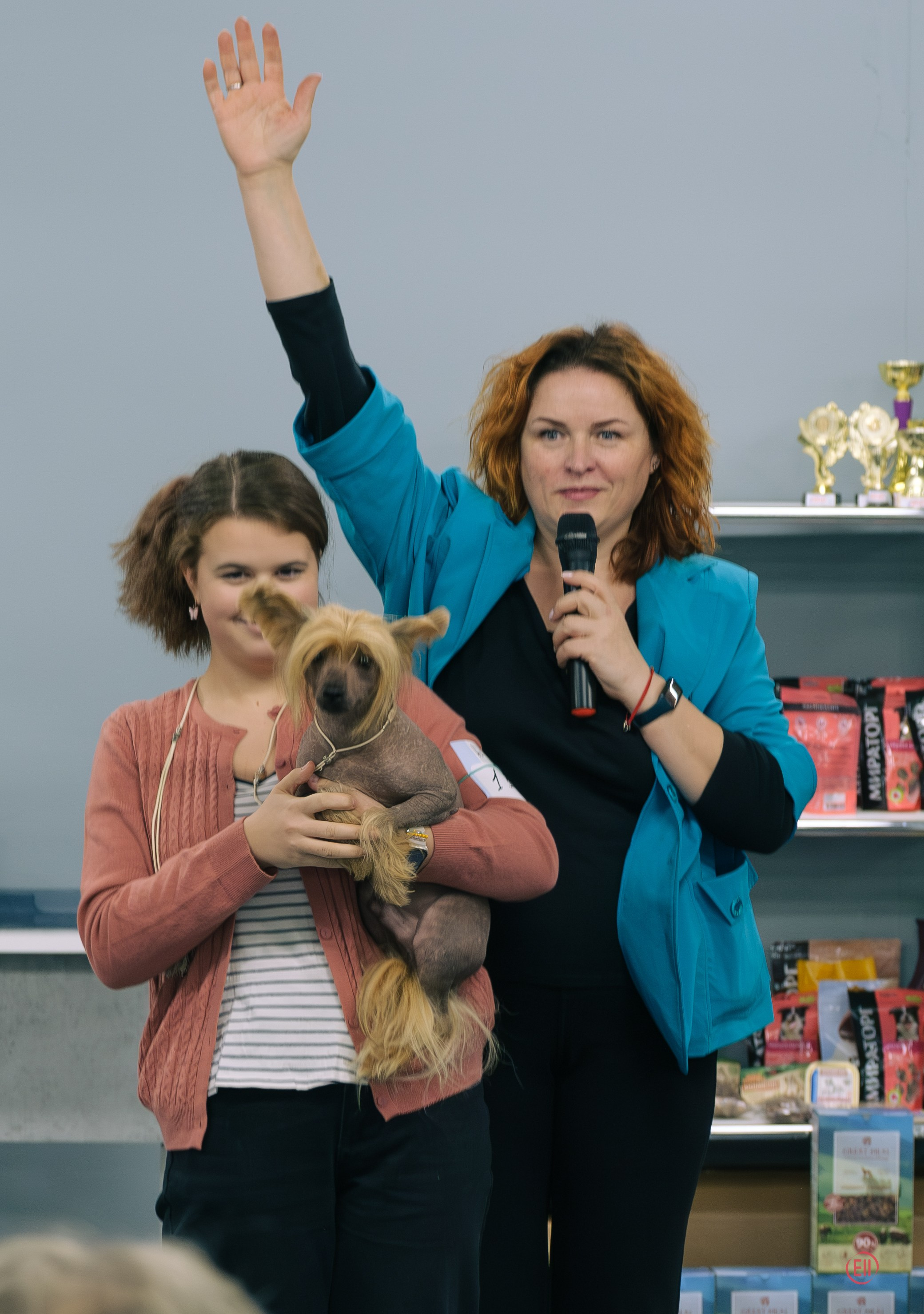 Праздник породы «Яркий мир китайских хохлатых собак». Питомник китайских хохлатых собак Poale Ell: купить щенка