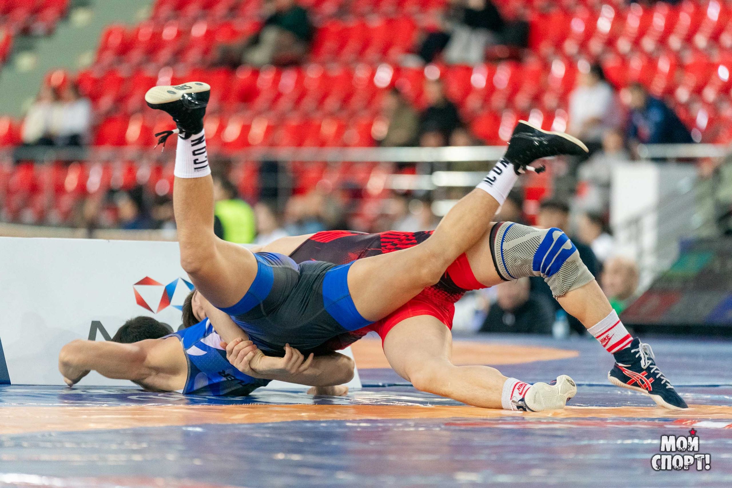 XII Международные соревнования по спортивной борьбе пам. Р. М. Дмитриева. Студия «Мой Спорт!» — все о спорте в Якутии