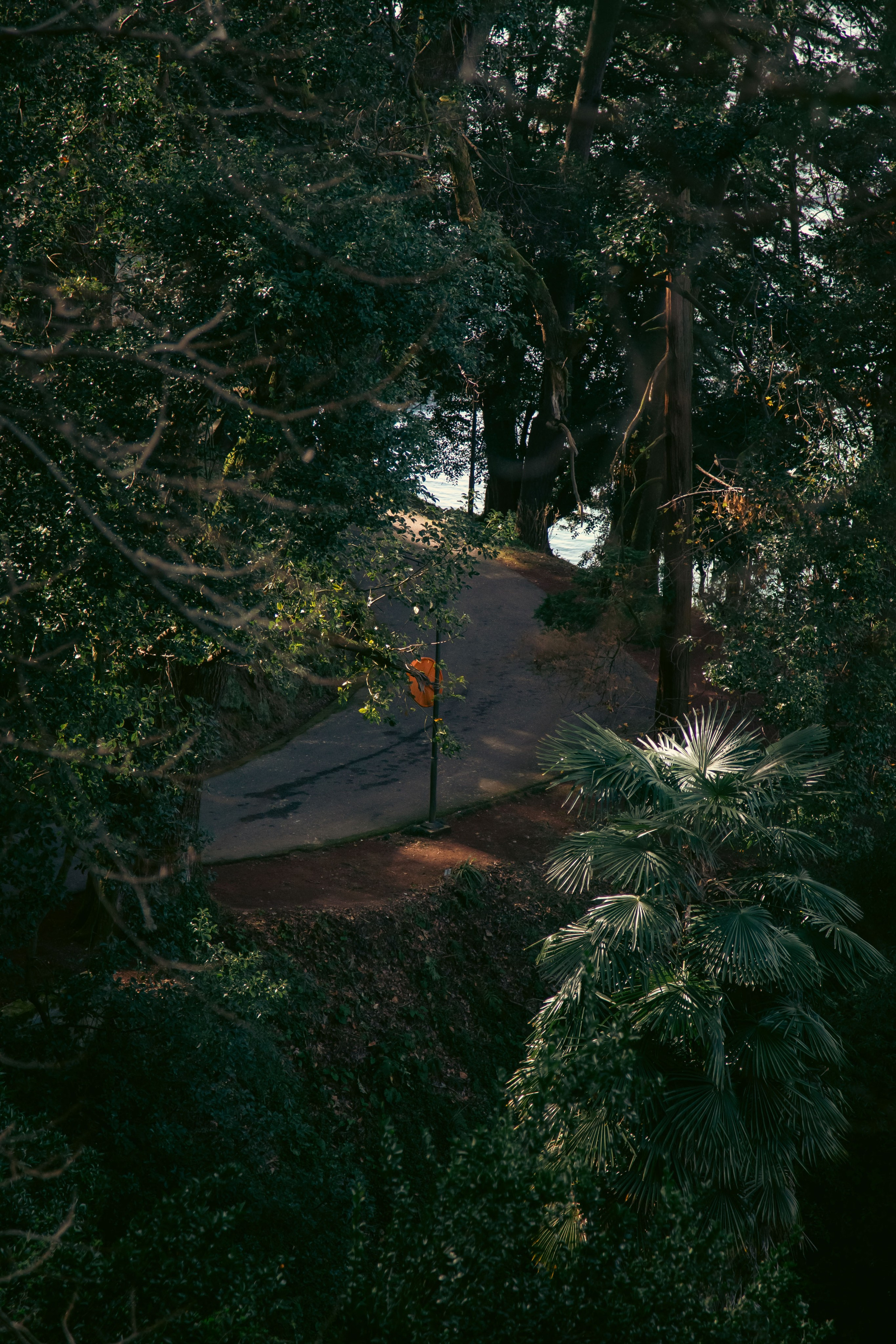 Batumi. Dmitriy [KCCC] is a pretty cool photographer