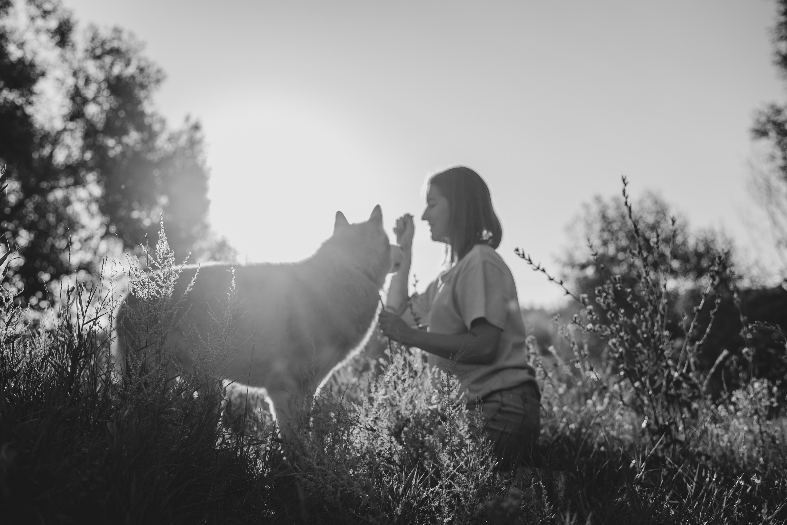 Ksenia & Archie. Natalia Finch Photography — Family, Kids & Pet Photographer in Chicago, IL