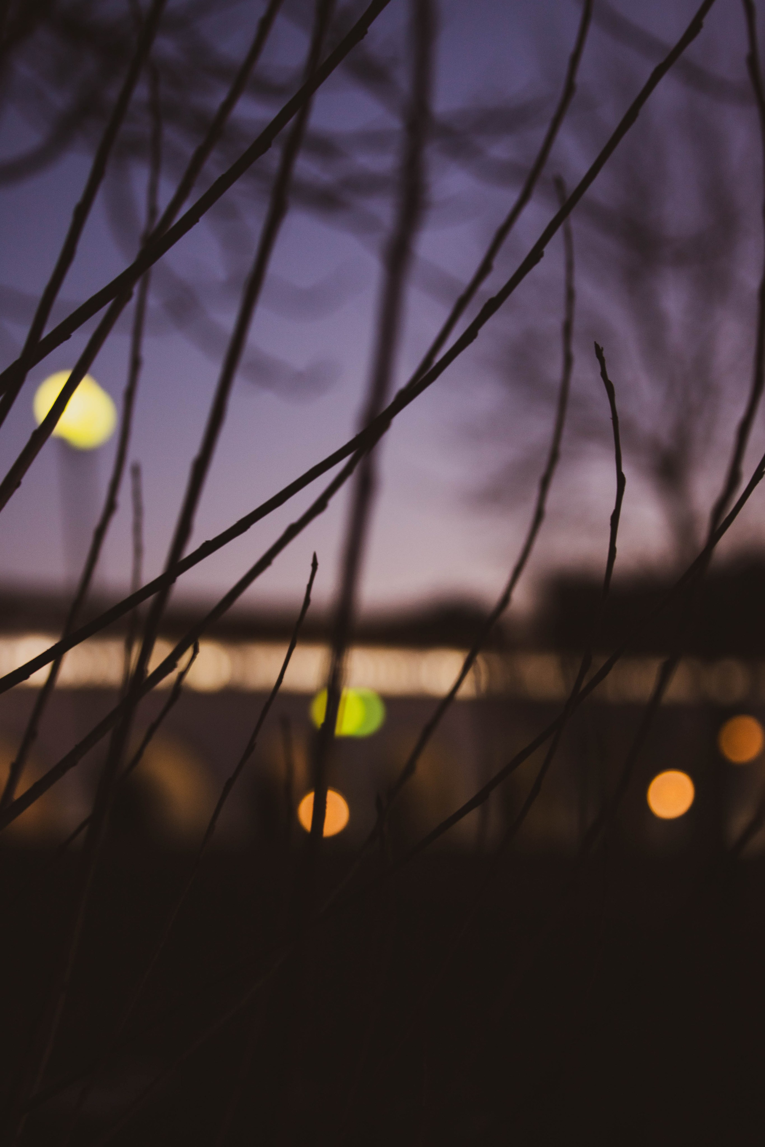 Ростокинский Акведук. Александра Мельниченко/ Бегающий фотограф