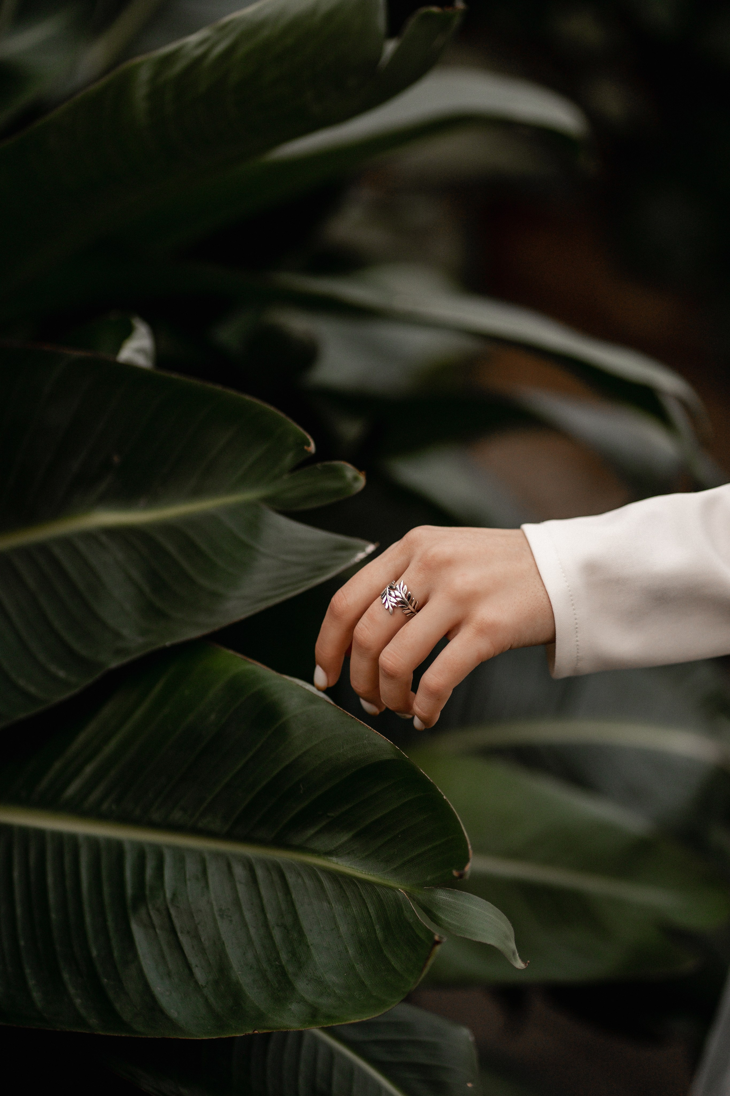 Evgeniy & Victoria. Dolce_wedding