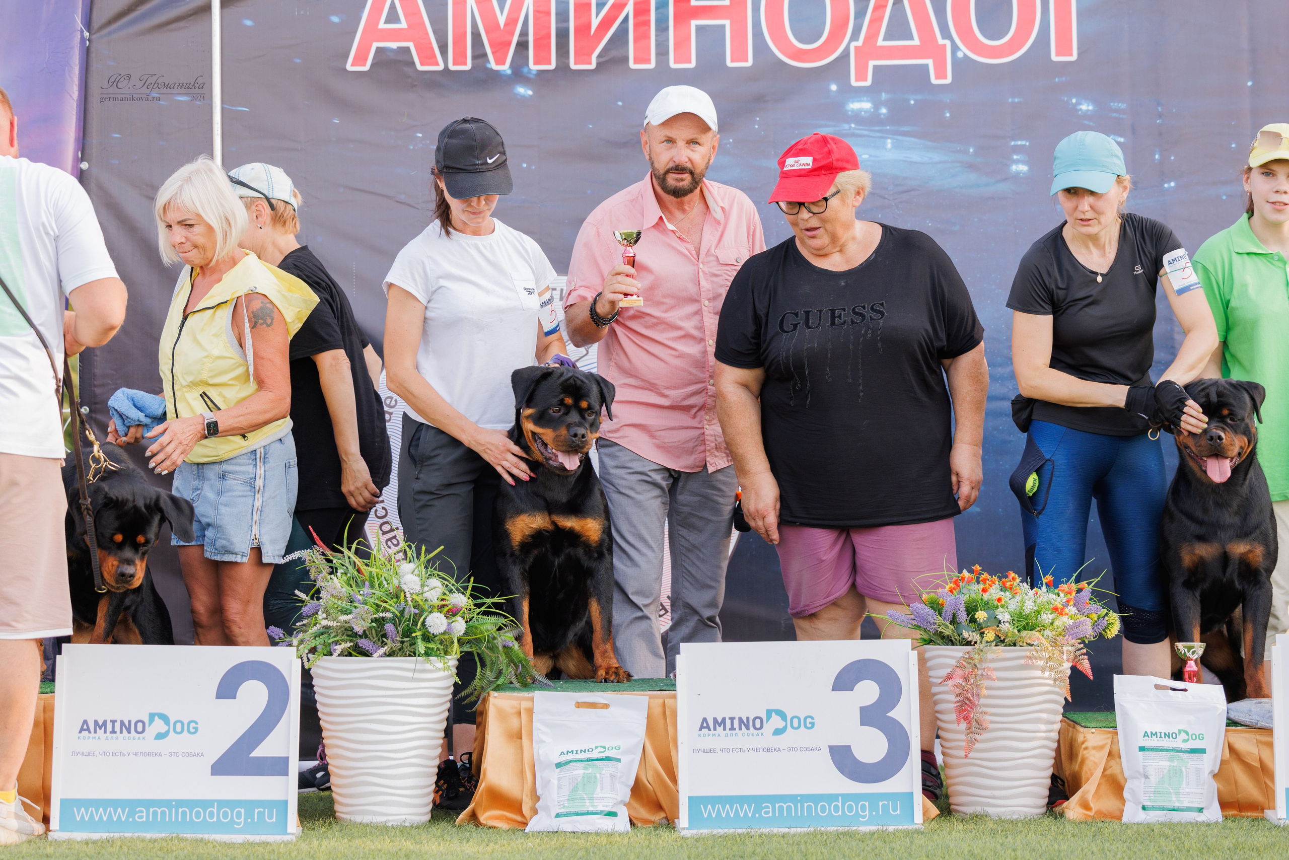 Анапа ротвейлеры 14-15.09.2024. Фотограф-анималист Юлия Германика