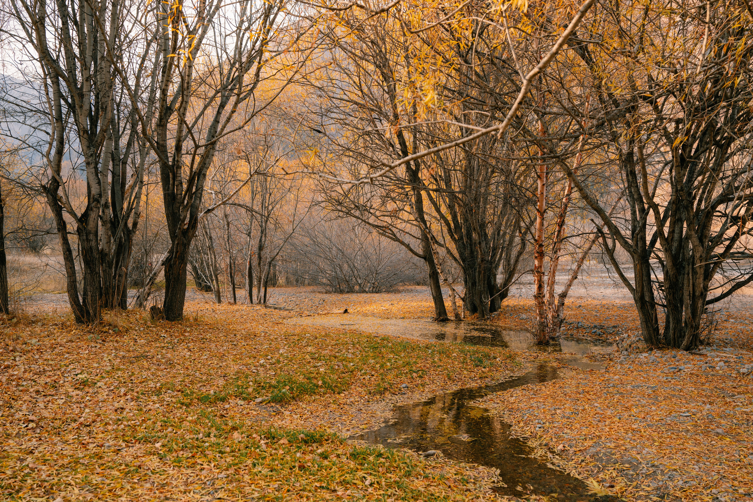 Озеро Иссык, осень 2025. Фотограф в Алматы — Алексей Коньков | Репортаж, свадьбы, портреты