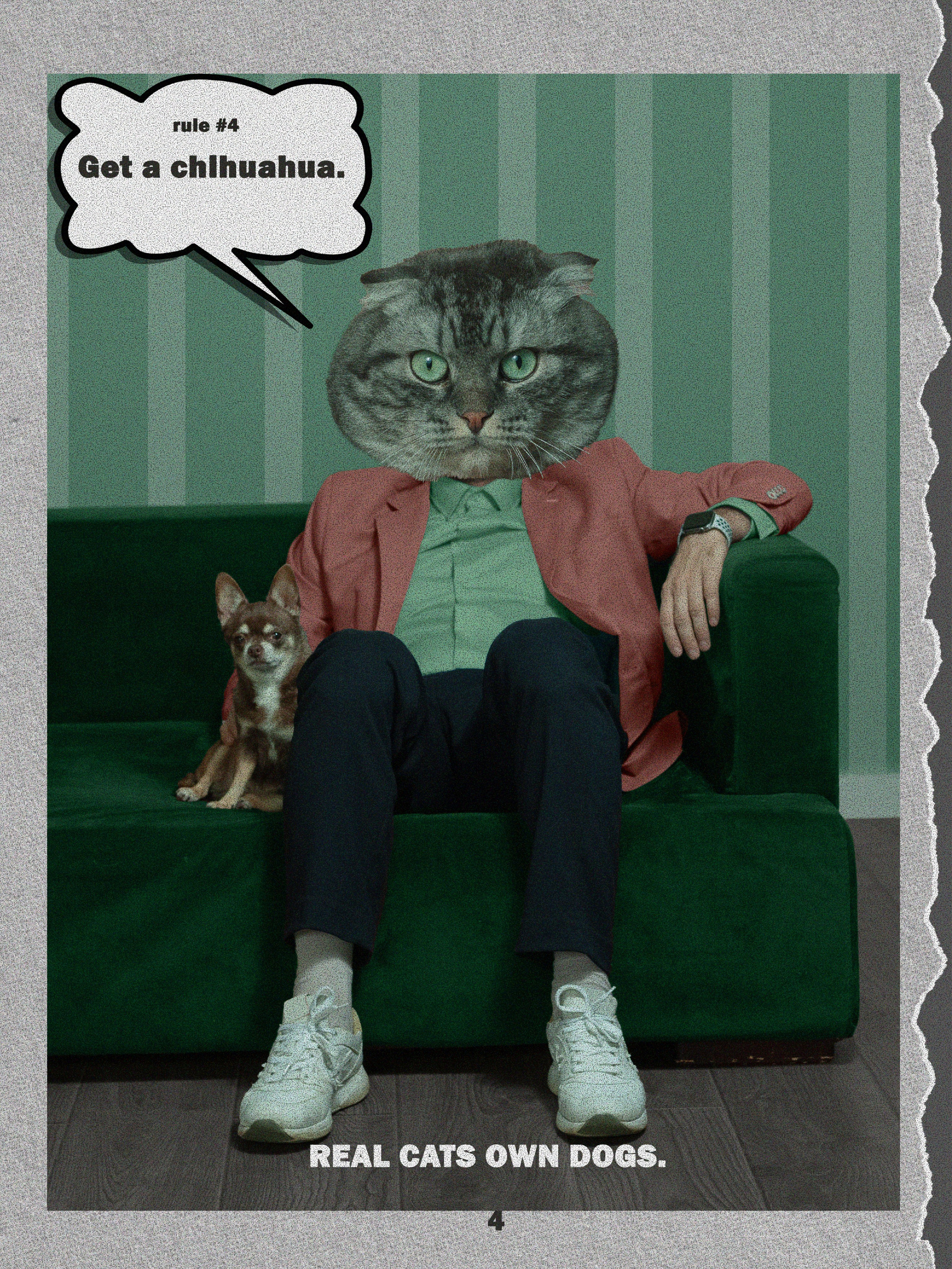 Comics «Obey the cat». MARINA MANUCHARIAN