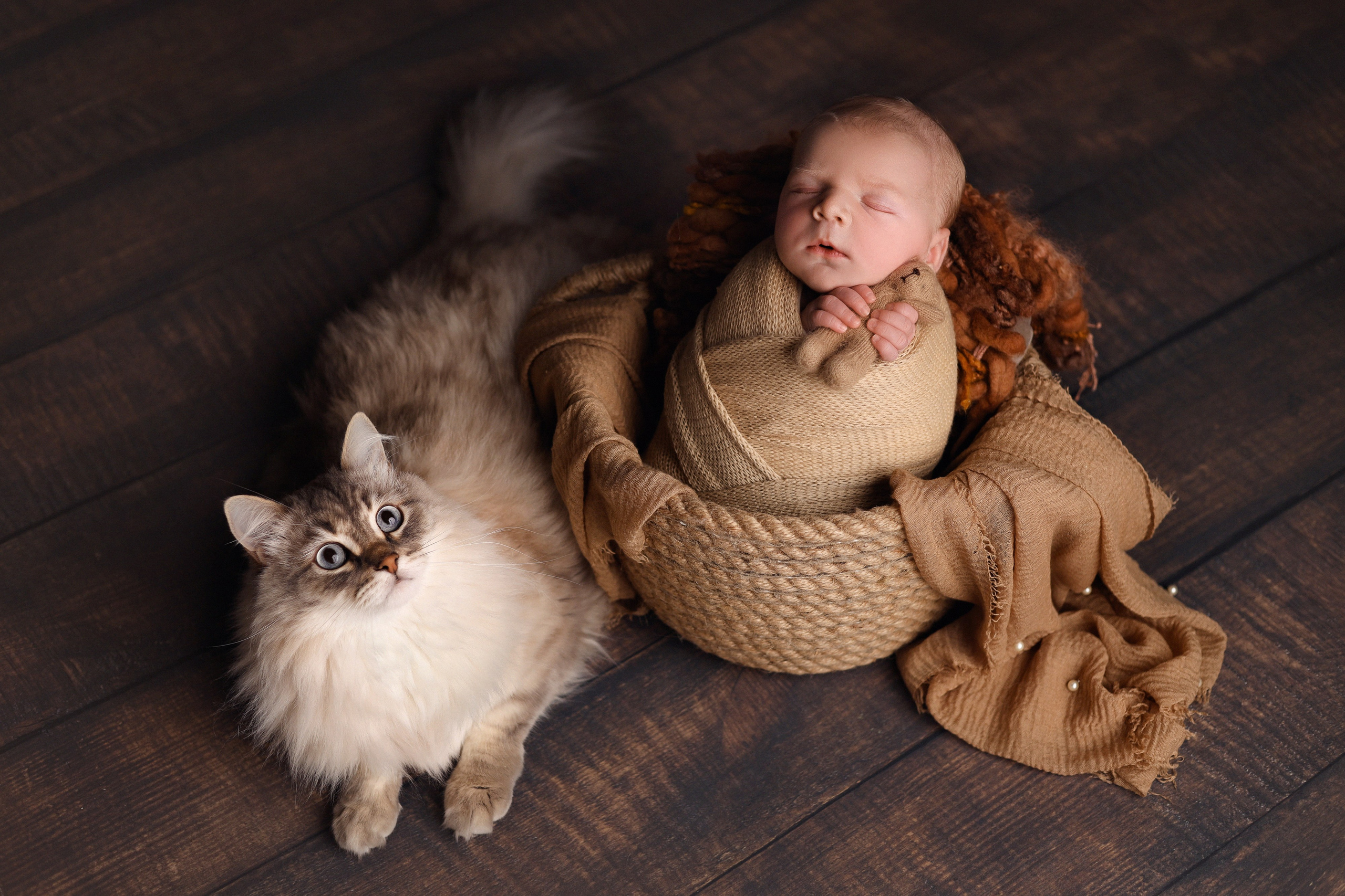 Новорожденные. Семейный фотограф и фотограф новорожденных в Санкт-Петербурге Алевтина