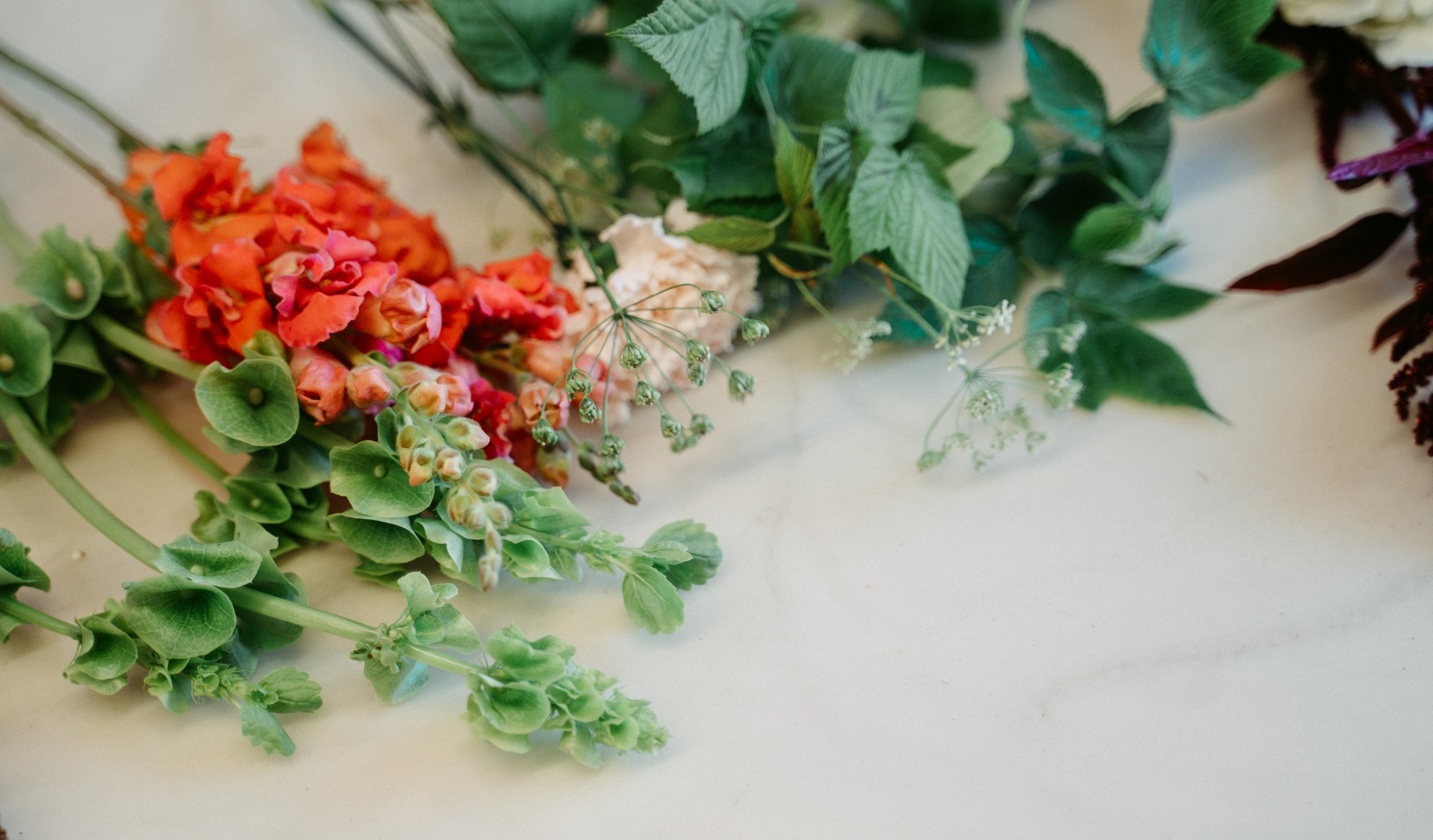 Florissimo x Enter. Саша Копылов, фотограф в Казани