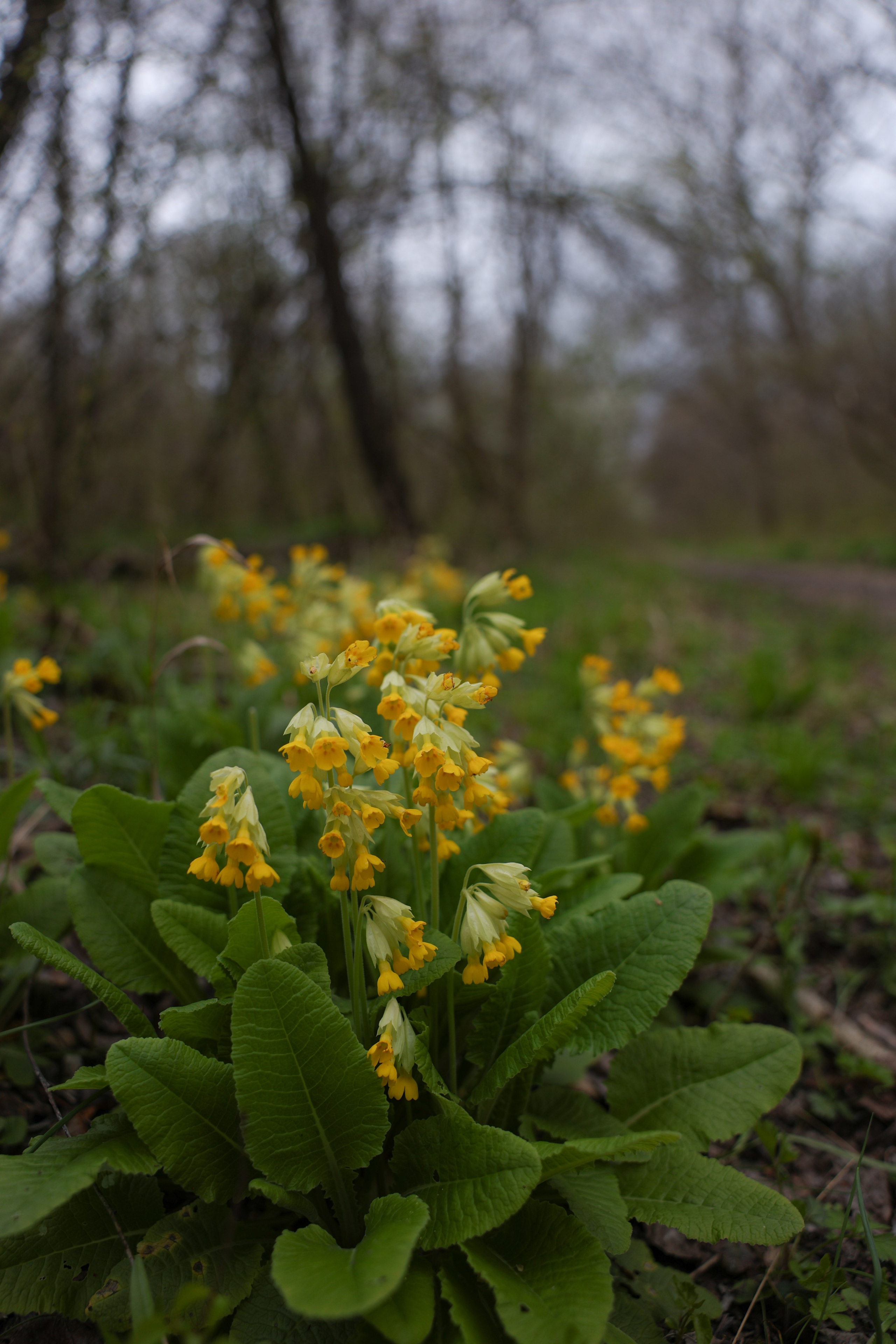 Фотограф Мария Алексеева. Мария Алексеева. Фотограф в Москве