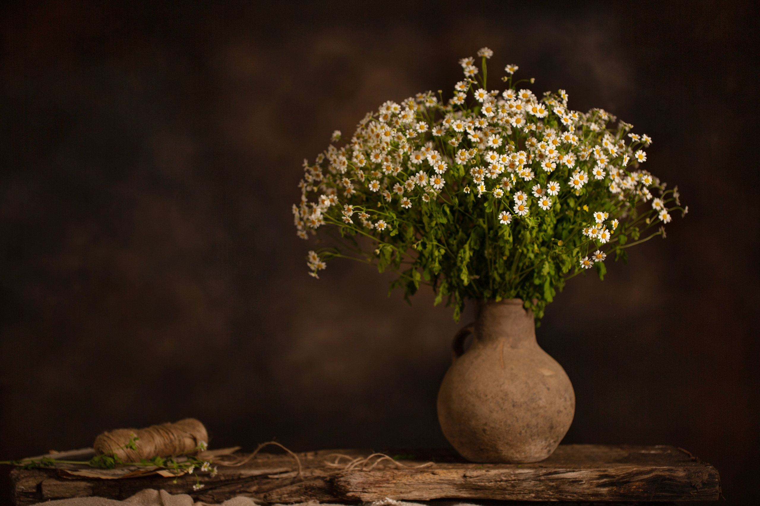 Натюрморт. Предметный и рекламный фотограф в Ростове-на-Дону Кристина Орлова
