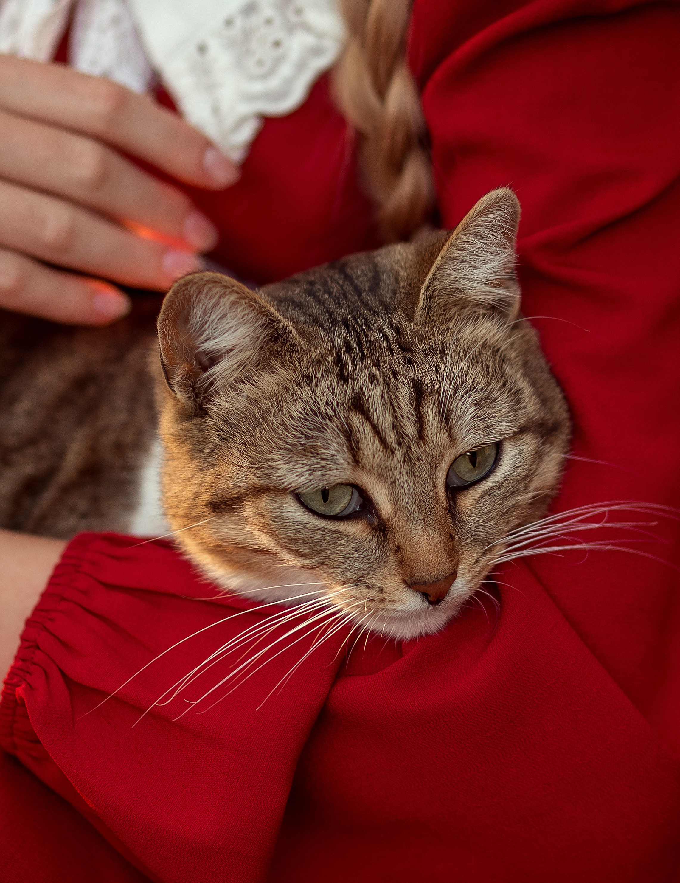 Яркая осень. Фотограф в Оренбурге Чопорова Тамара