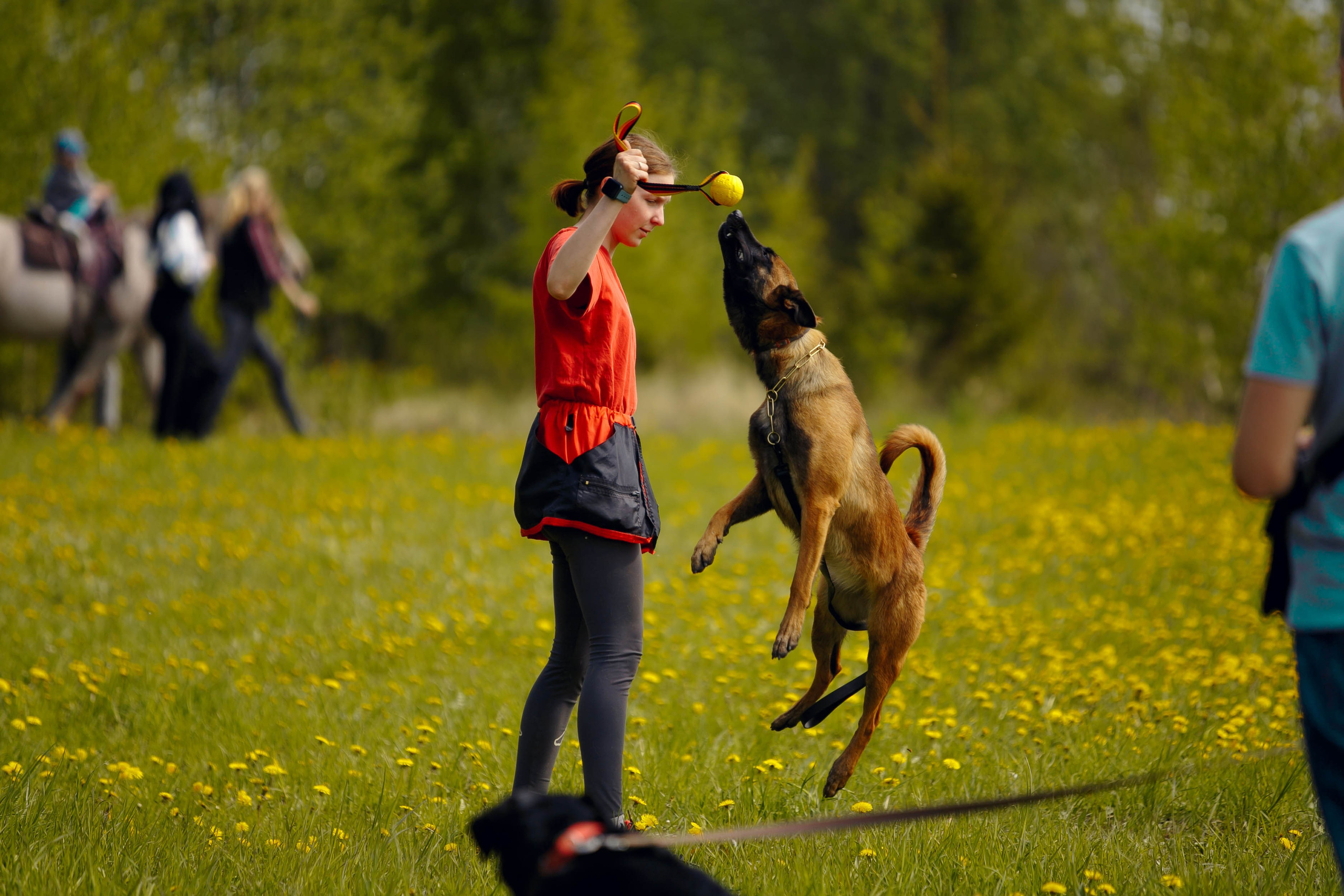 Фестиваль «Пастушьи забавы». Ваш репортажный фотограф Артемий Антонов
