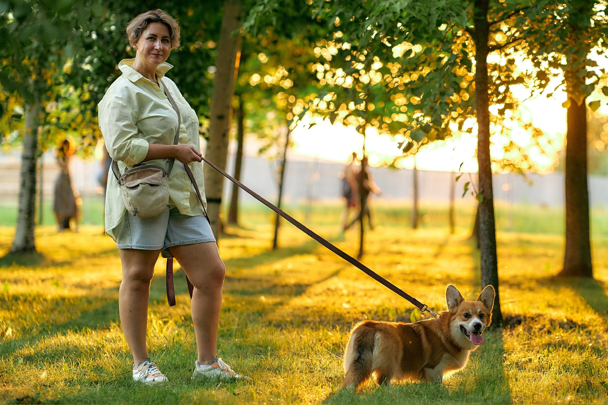 Корги фотограф спб
