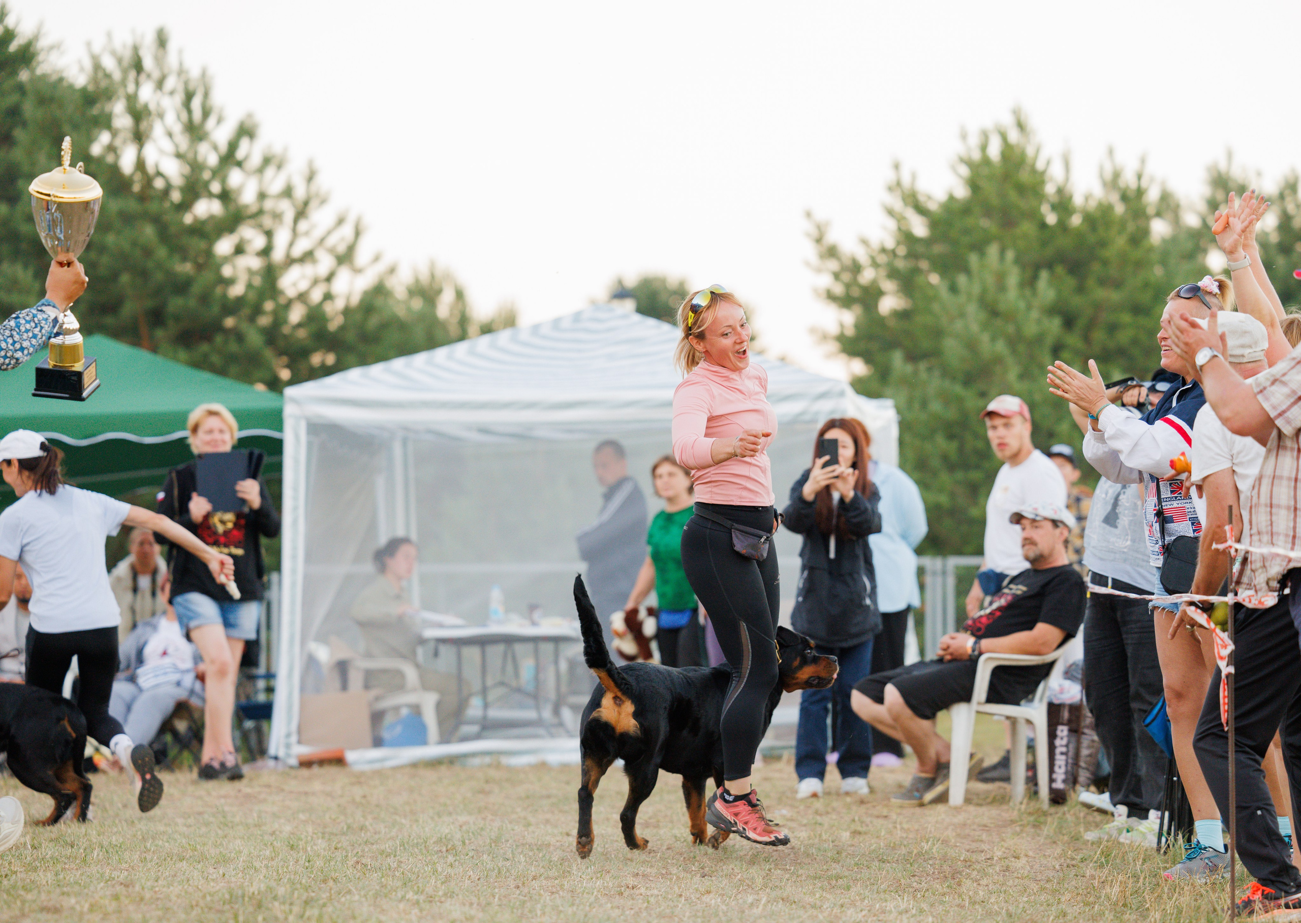 ПК и КЧК ротвейлеры Тверь 6-7.07.2024. Фотограф-анималист Юлия Германика
