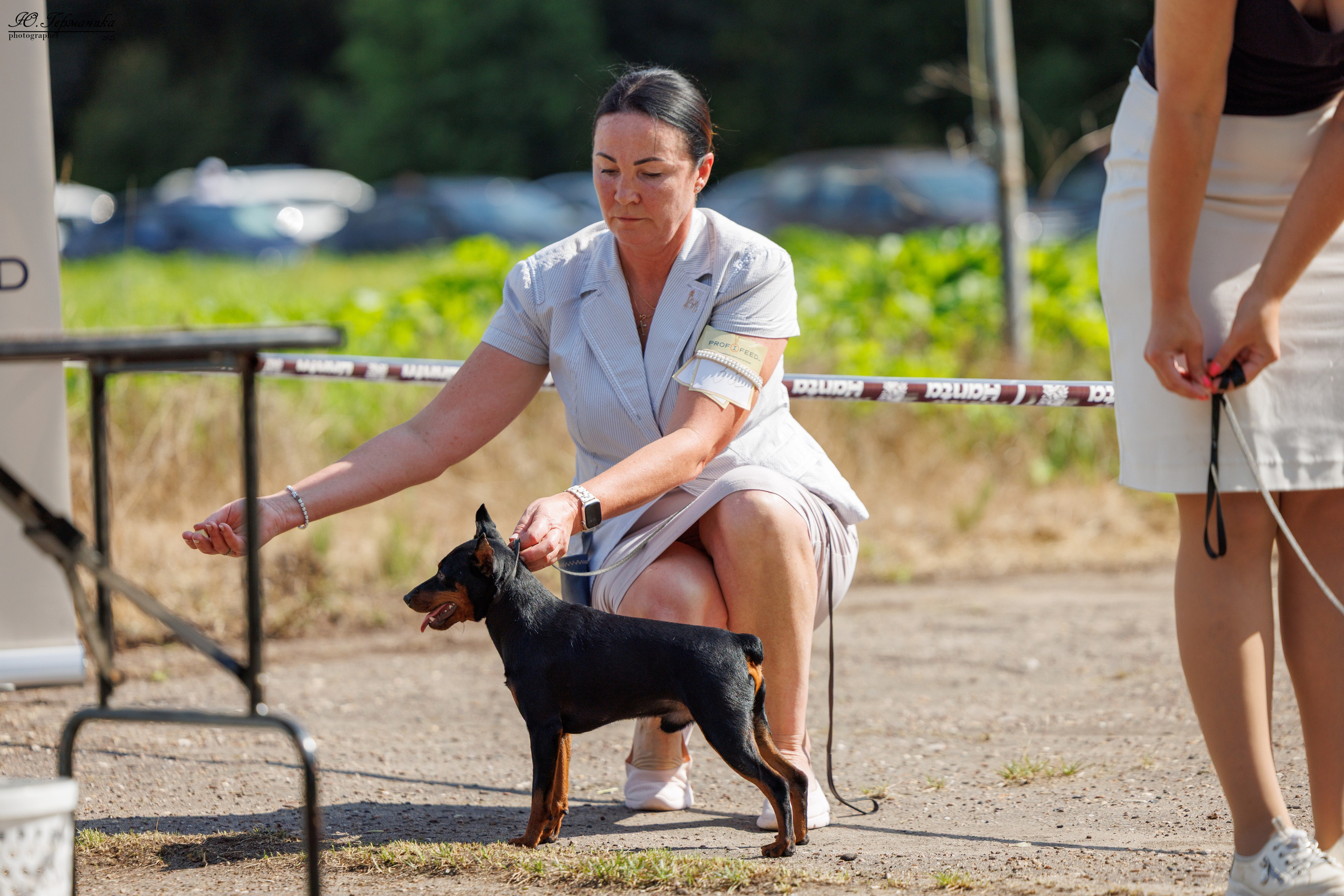 Тверь 10.08.2025. Фотограф-анималист Юлия Германика