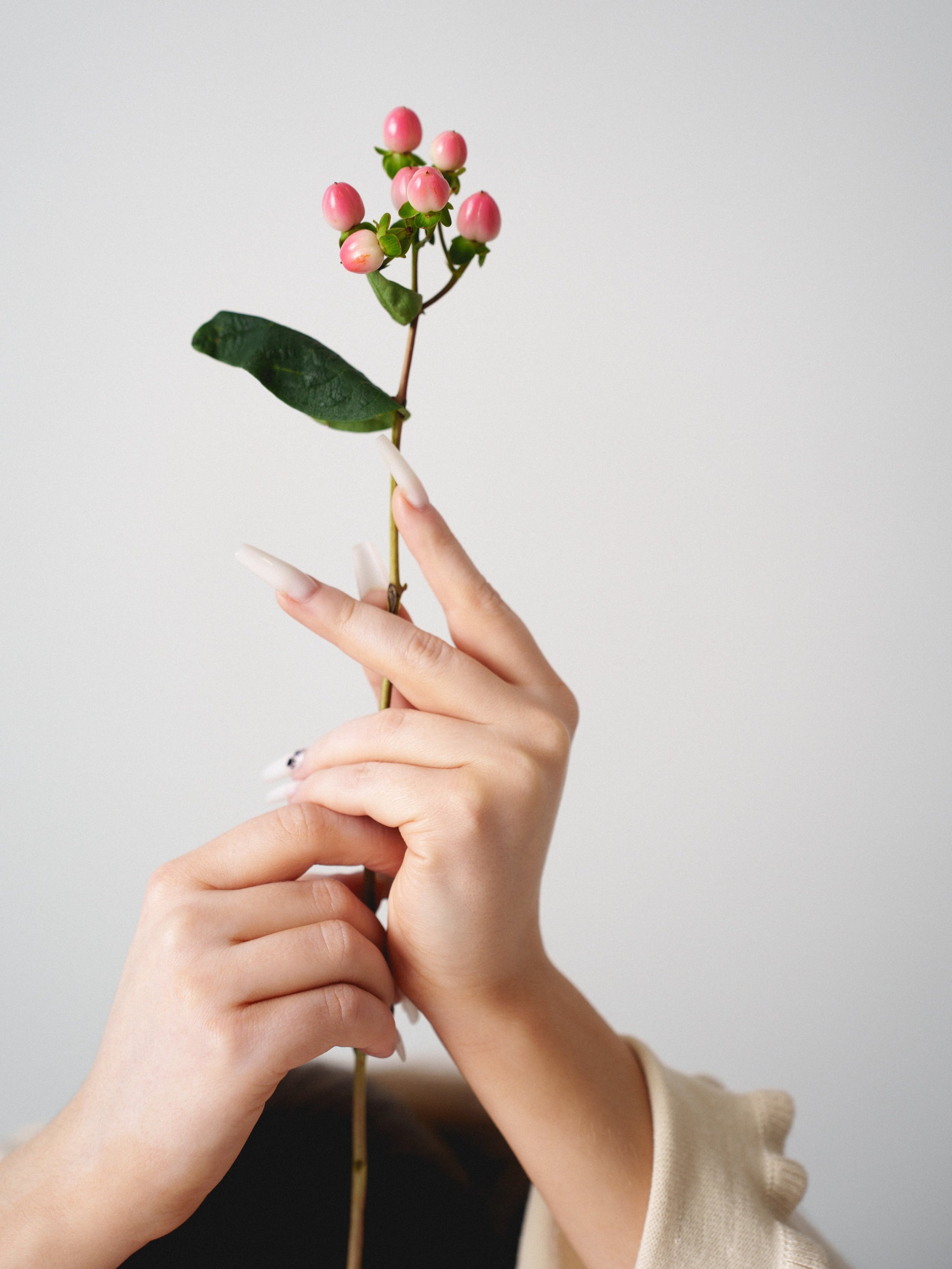 Цветы (контент к 14 февраля). Иван Упоров — фотограф, рилсмейкер чебоксары