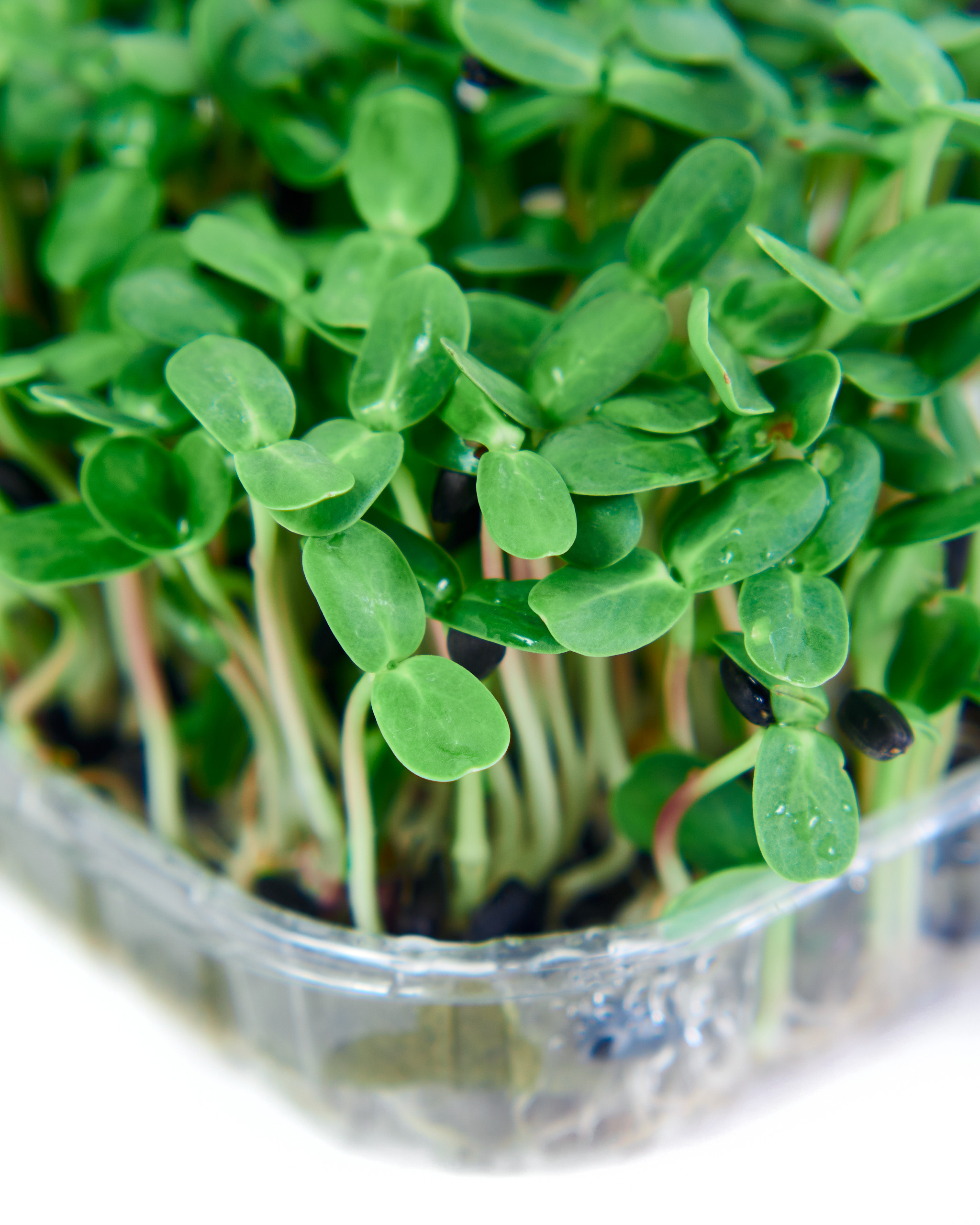 Контент-съёмка для соцсетей и маркетплейсов. Фотограф в Ульяновске Ирина Аверьянова