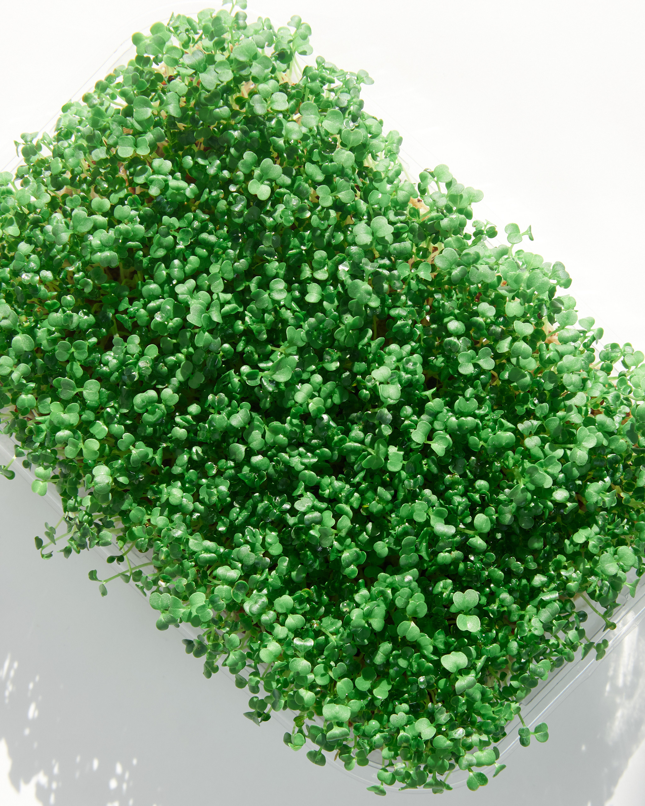 Контент-съёмка для соцсетей и маркетплейсов. Фотограф в Ульяновске Ирина Аверьянова