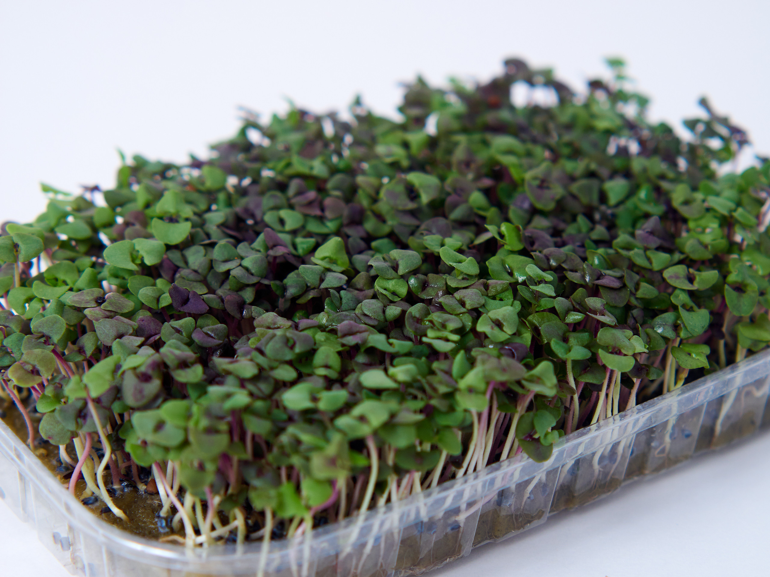 Контент-съёмка для соцсетей и маркетплейсов. Фотограф в Ульяновске Ирина Аверьянова