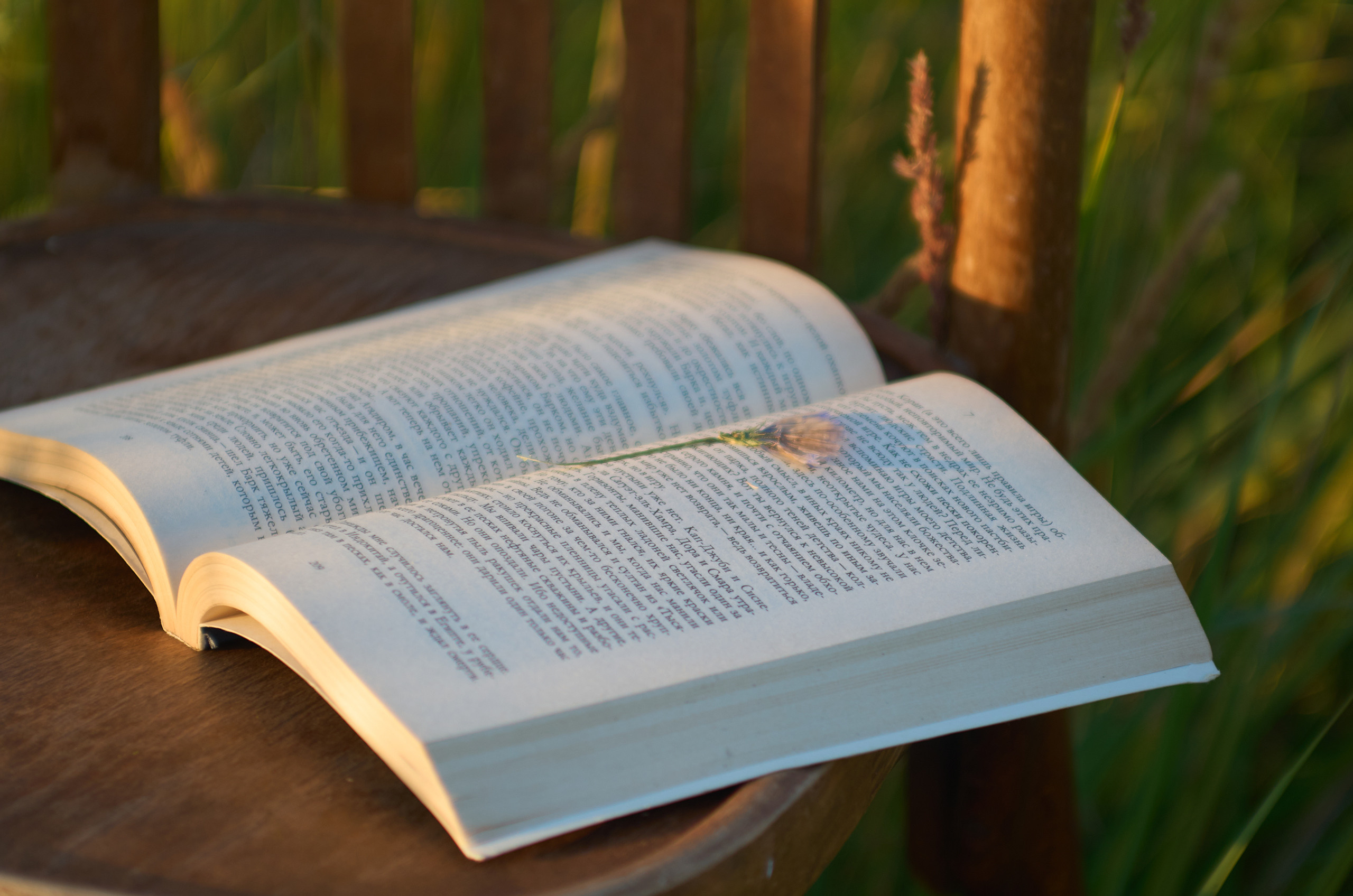 Фотосессия в поле. Фотограф в Ульяновске Ирина Аверьянова