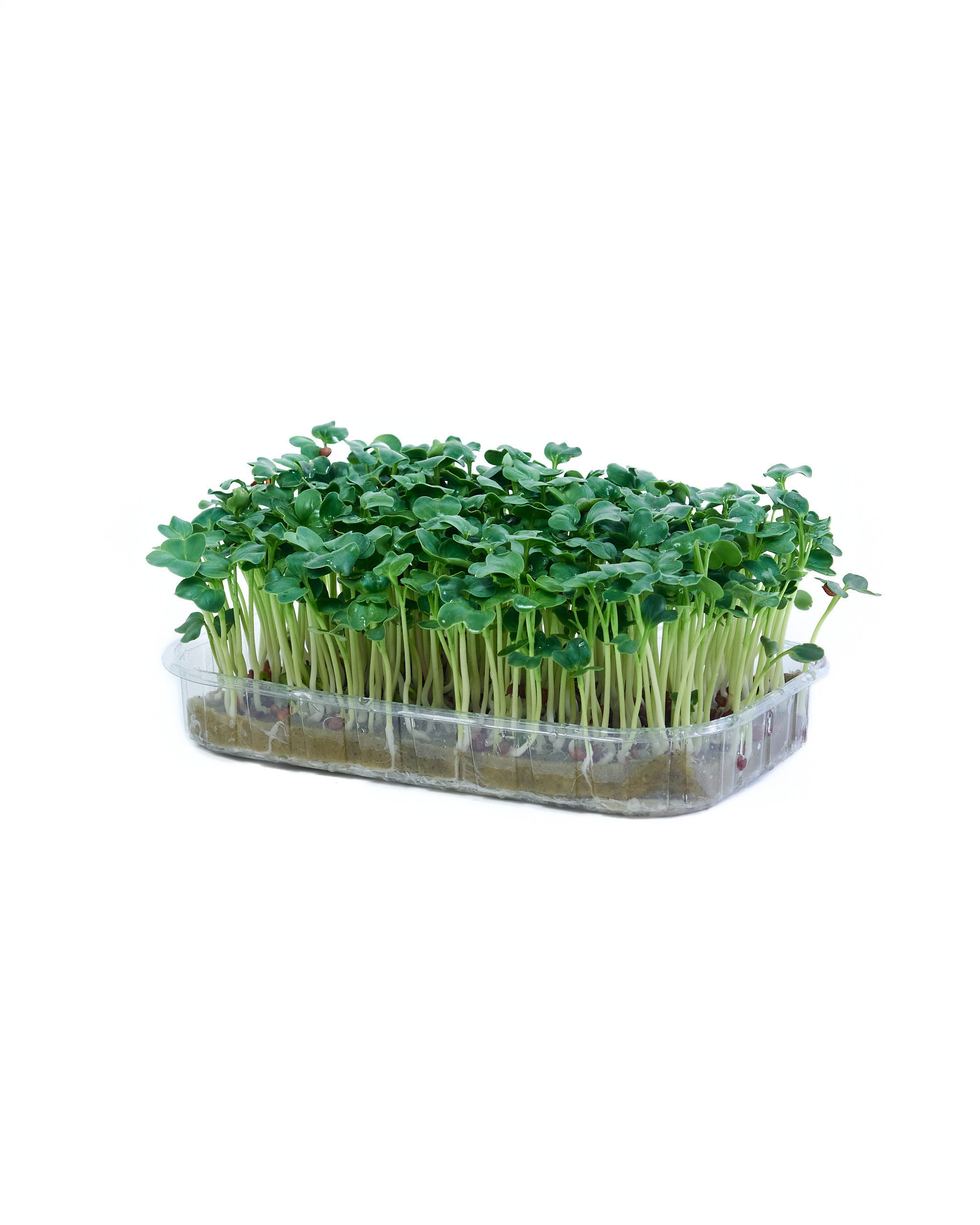 Контент-съёмка для соцсетей и маркетплейсов. Фотограф в Ульяновске Ирина Аверьянова