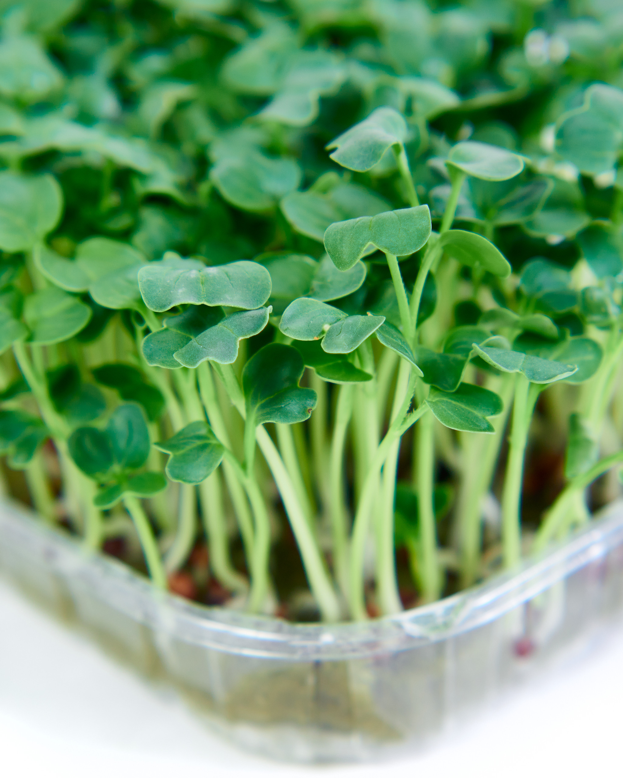 Контент-съёмка для соцсетей и маркетплейсов. Фотограф в Ульяновске Ирина Аверьянова