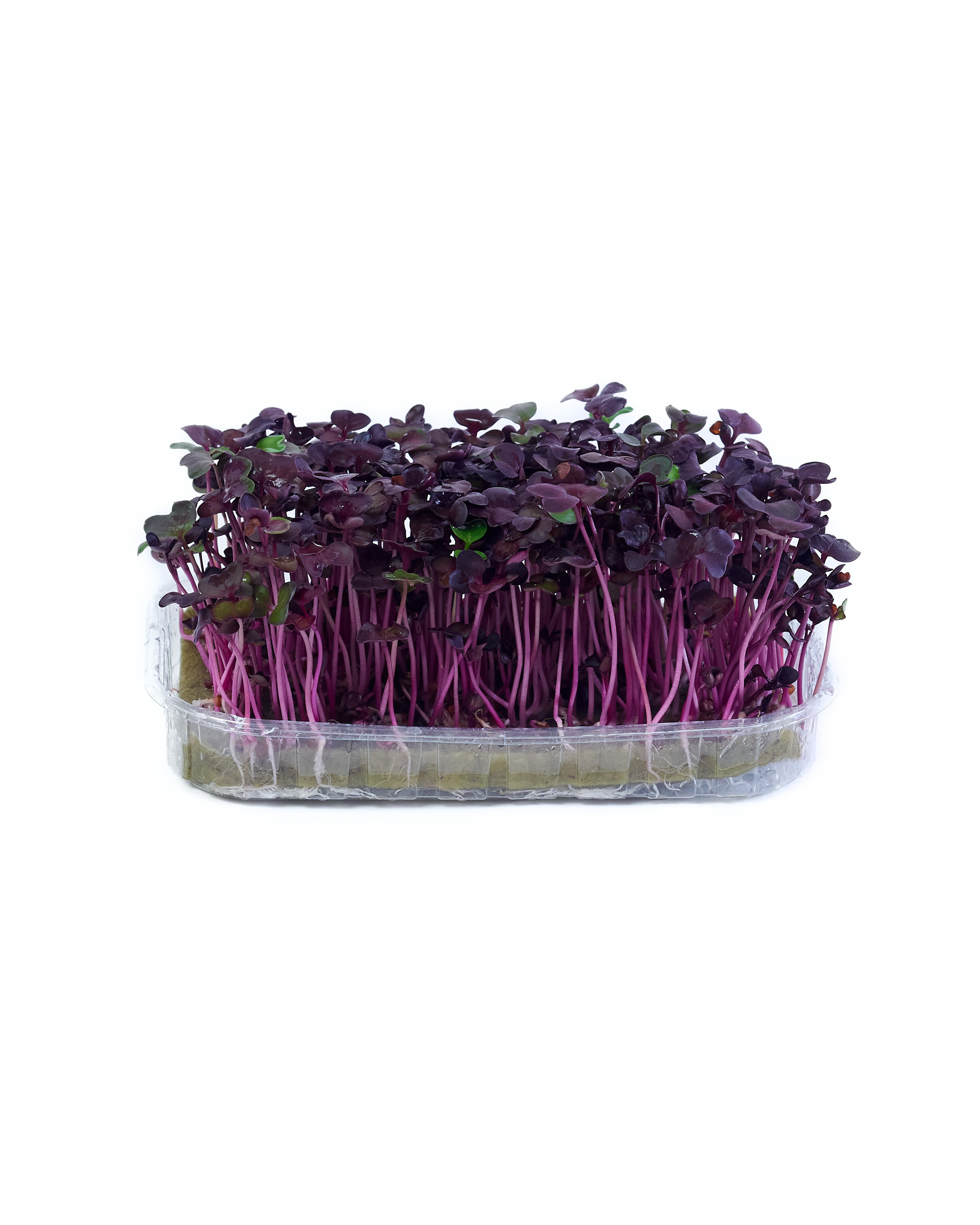 Контент-съёмка для соцсетей и маркетплейсов. Фотограф в Ульяновске Ирина Аверьянова