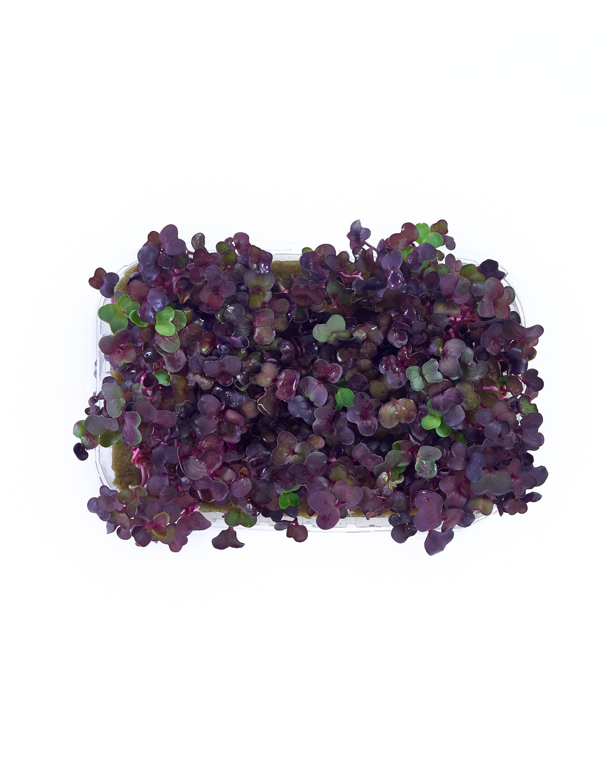 Контент-съёмка для соцсетей и маркетплейсов. Фотограф в Ульяновске Ирина Аверьянова