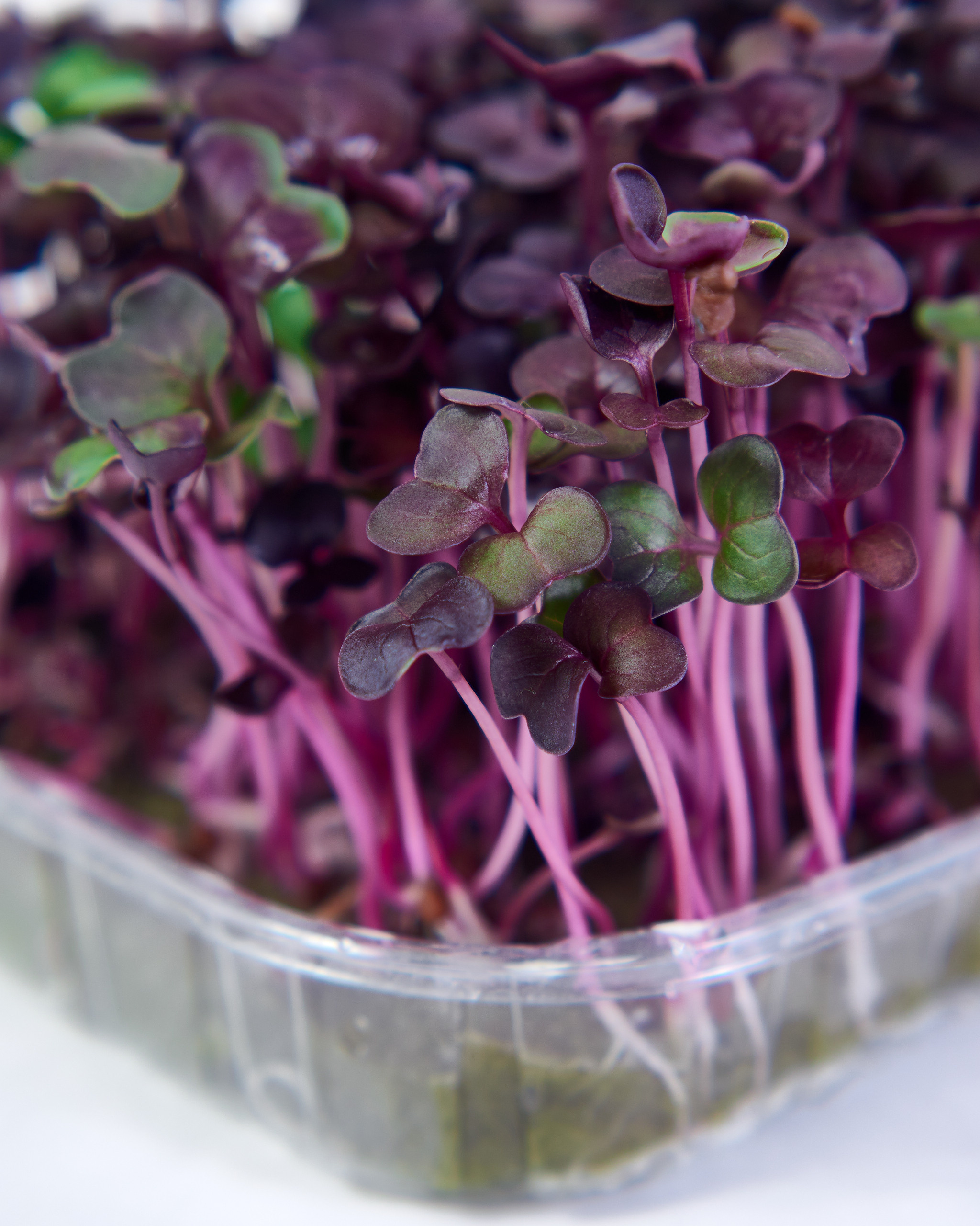 Контент-съёмка для соцсетей и маркетплейсов. Фотограф в Ульяновске Ирина Аверьянова