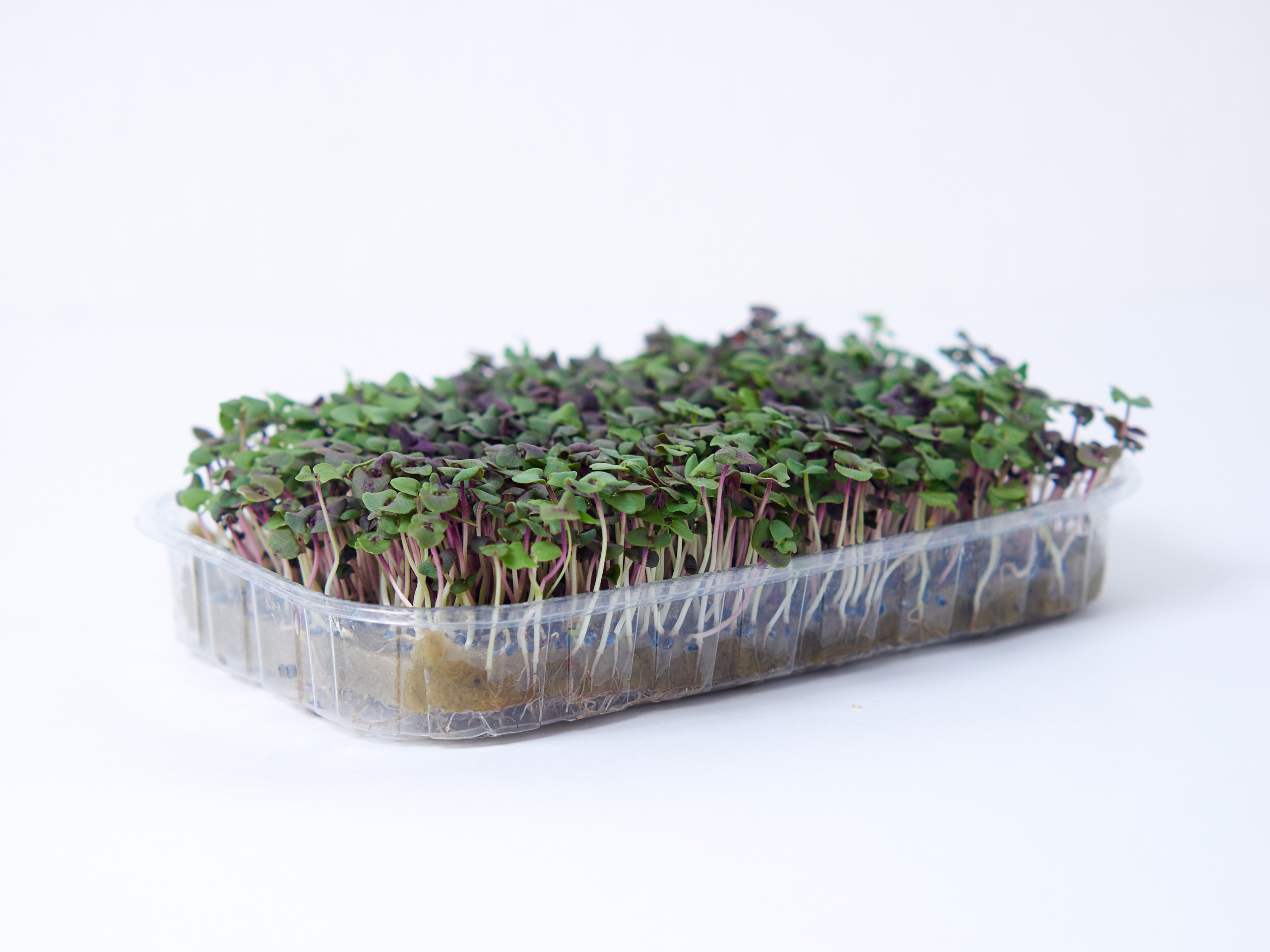 Контент-съёмка для соцсетей и маркетплейсов. Фотограф в Ульяновске Ирина Аверьянова