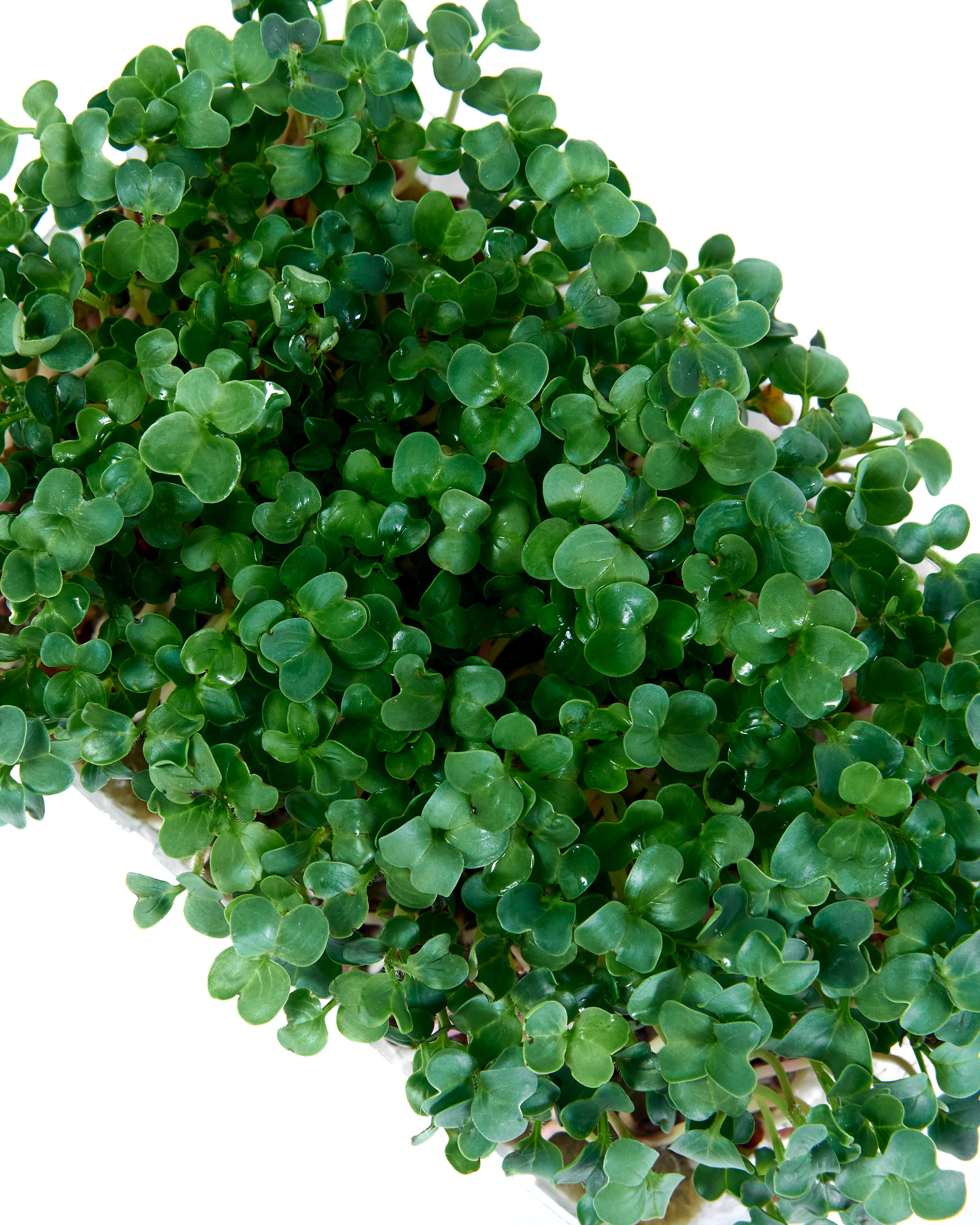 Контент-съёмка для соцсетей и маркетплейсов. Фотограф в Ульяновске Ирина Аверьянова