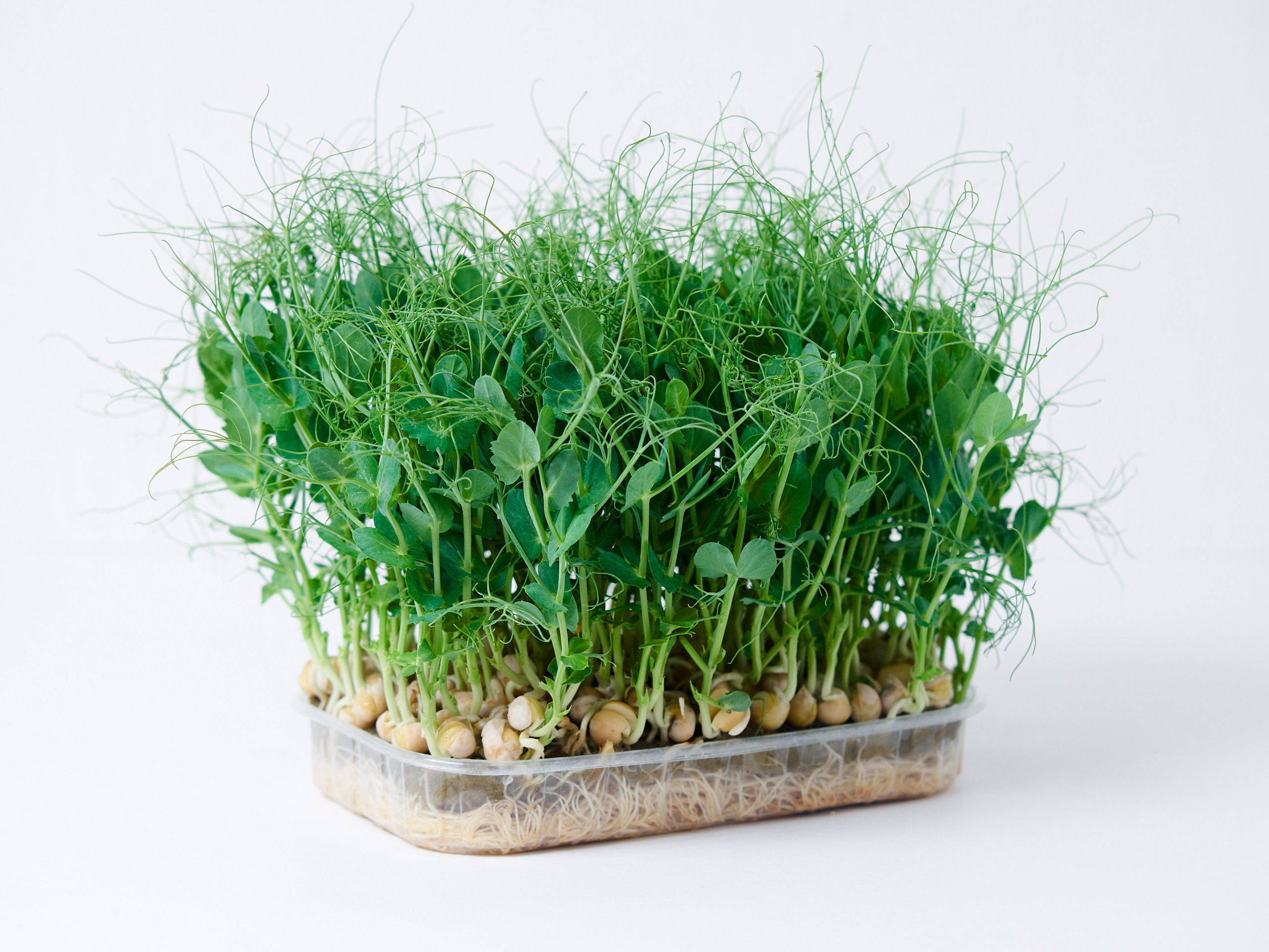 Контент-съёмка для соцсетей и маркетплейсов. Фотограф в Ульяновске Ирина Аверьянова