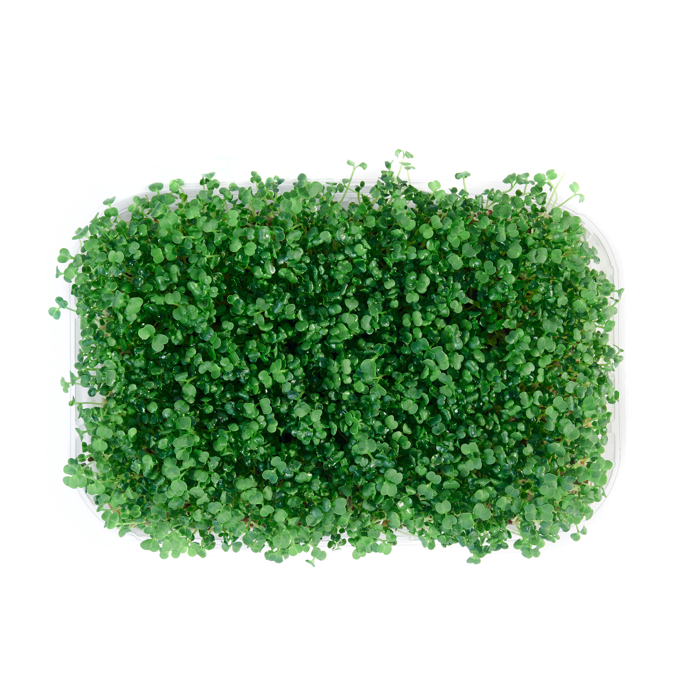 Контент-съёмка для соцсетей и маркетплейсов. Фотограф в Ульяновске Ирина Аверьянова