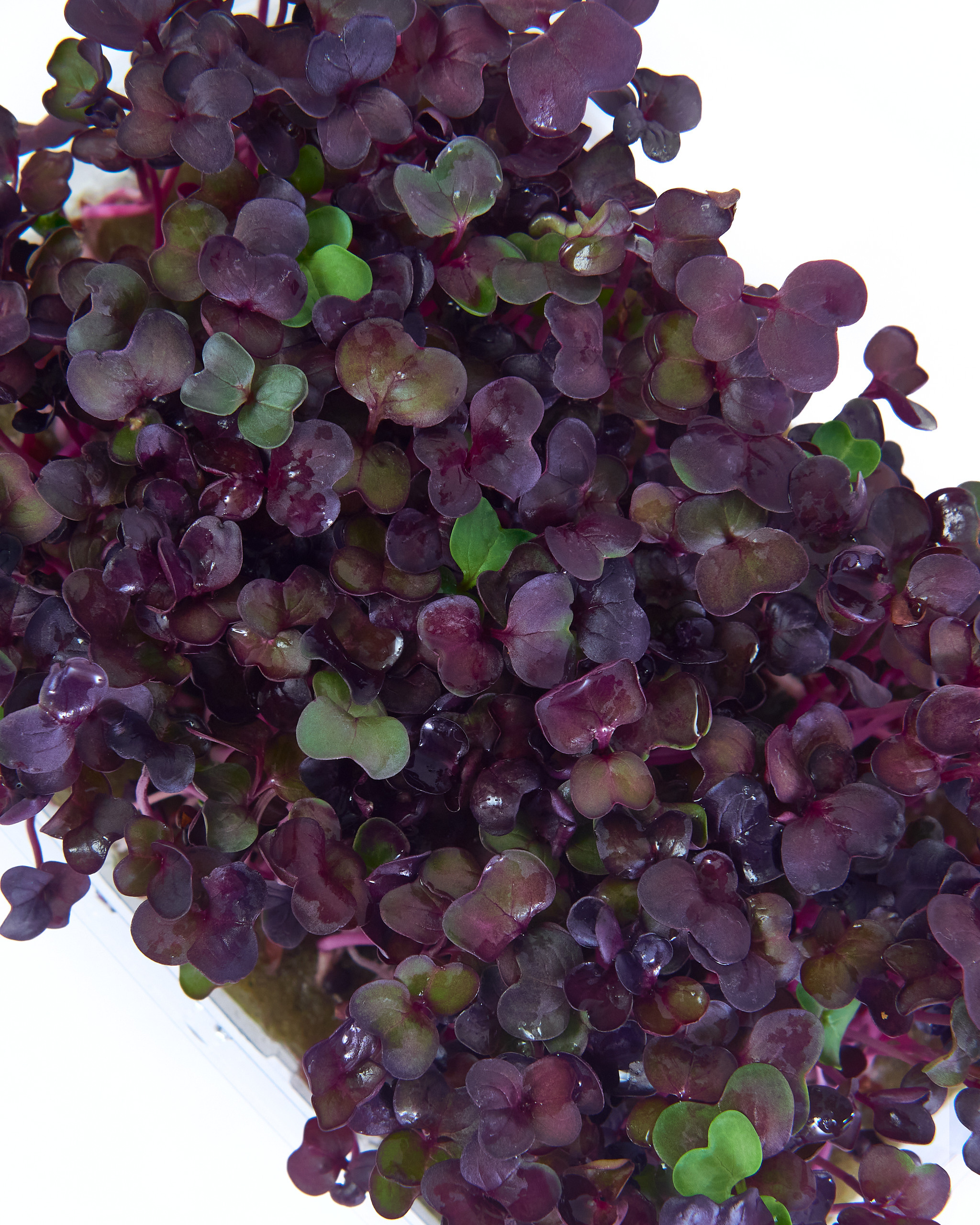 Контент-съёмка для соцсетей и маркетплейсов. Фотограф в Ульяновске Ирина Аверьянова