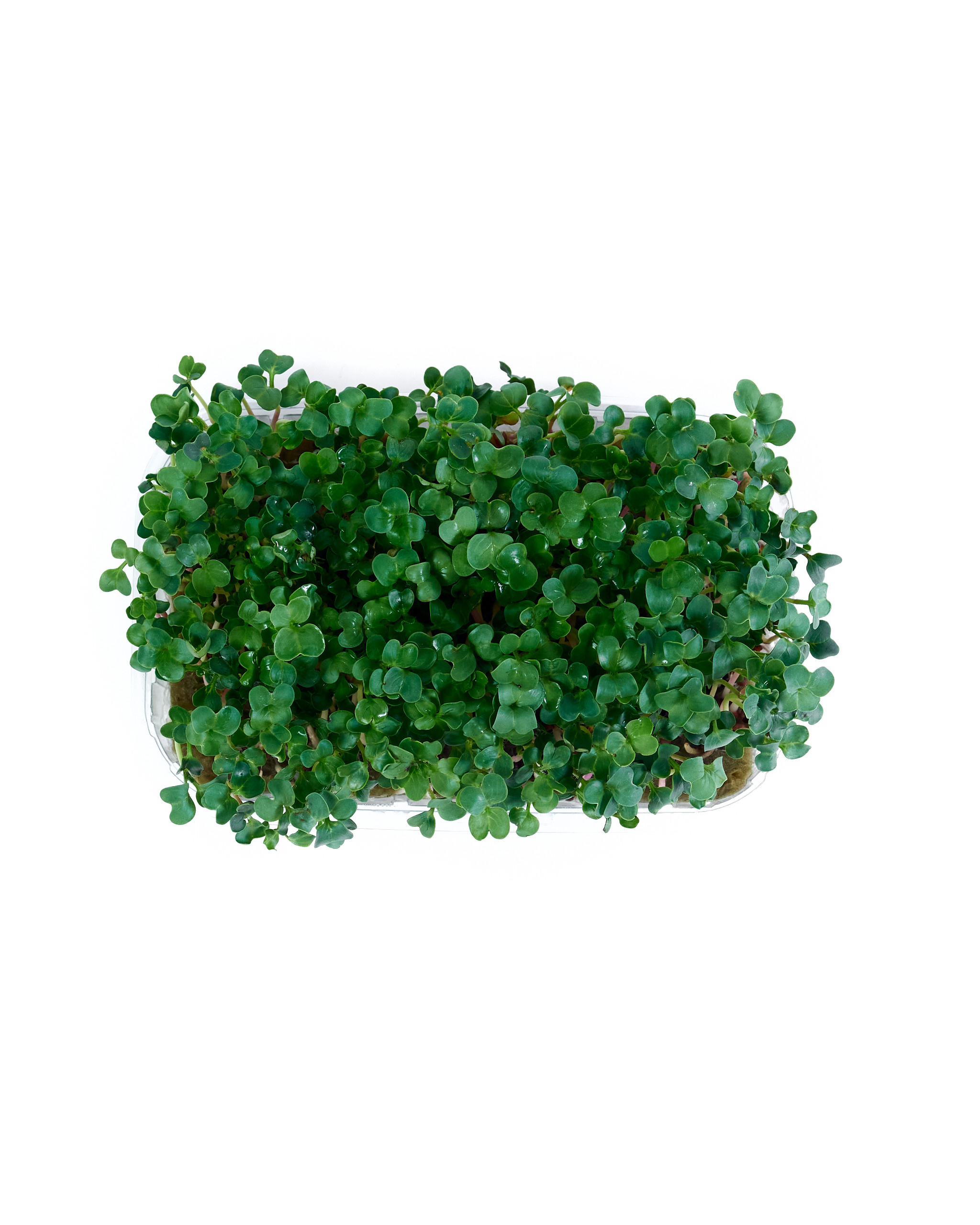 Контент-съёмка для соцсетей и маркетплейсов. Фотограф в Ульяновске Ирина Аверьянова