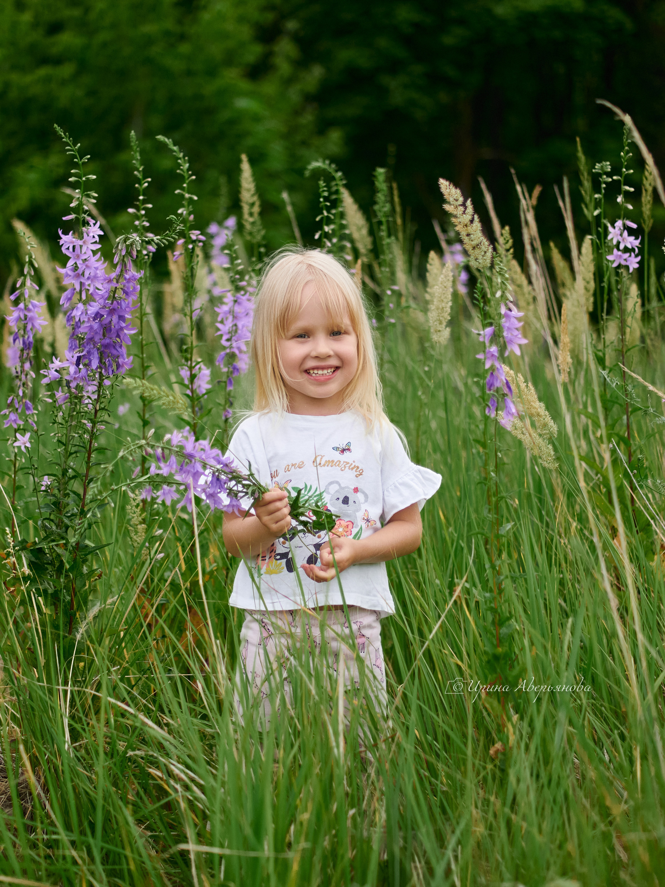Поле с колокольчиками. Фотограф в Ульяновске Ирина Аверьянова