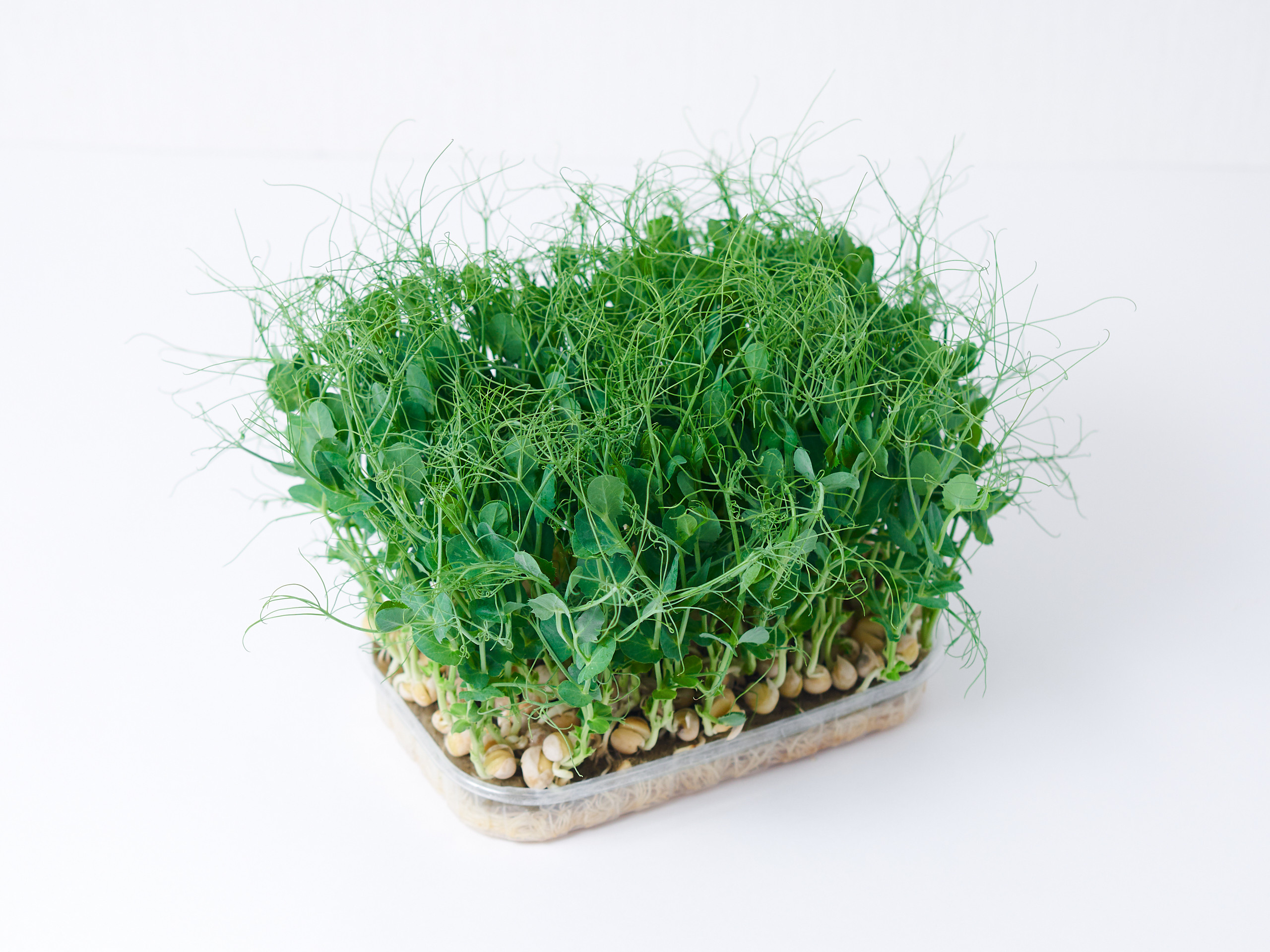 Контент-съёмка для соцсетей и маркетплейсов. Фотограф в Ульяновске Ирина Аверьянова