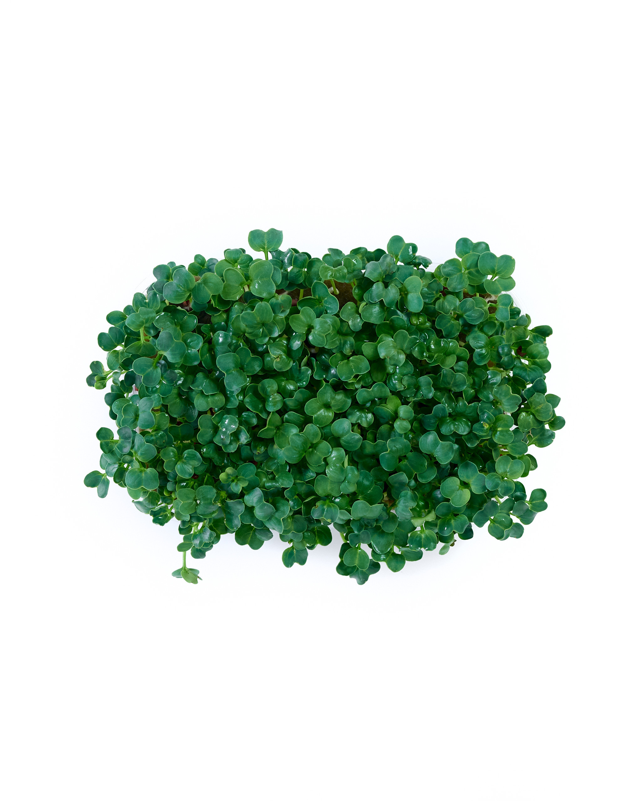 Контент-съёмка для соцсетей и маркетплейсов. Фотограф в Ульяновске Ирина Аверьянова