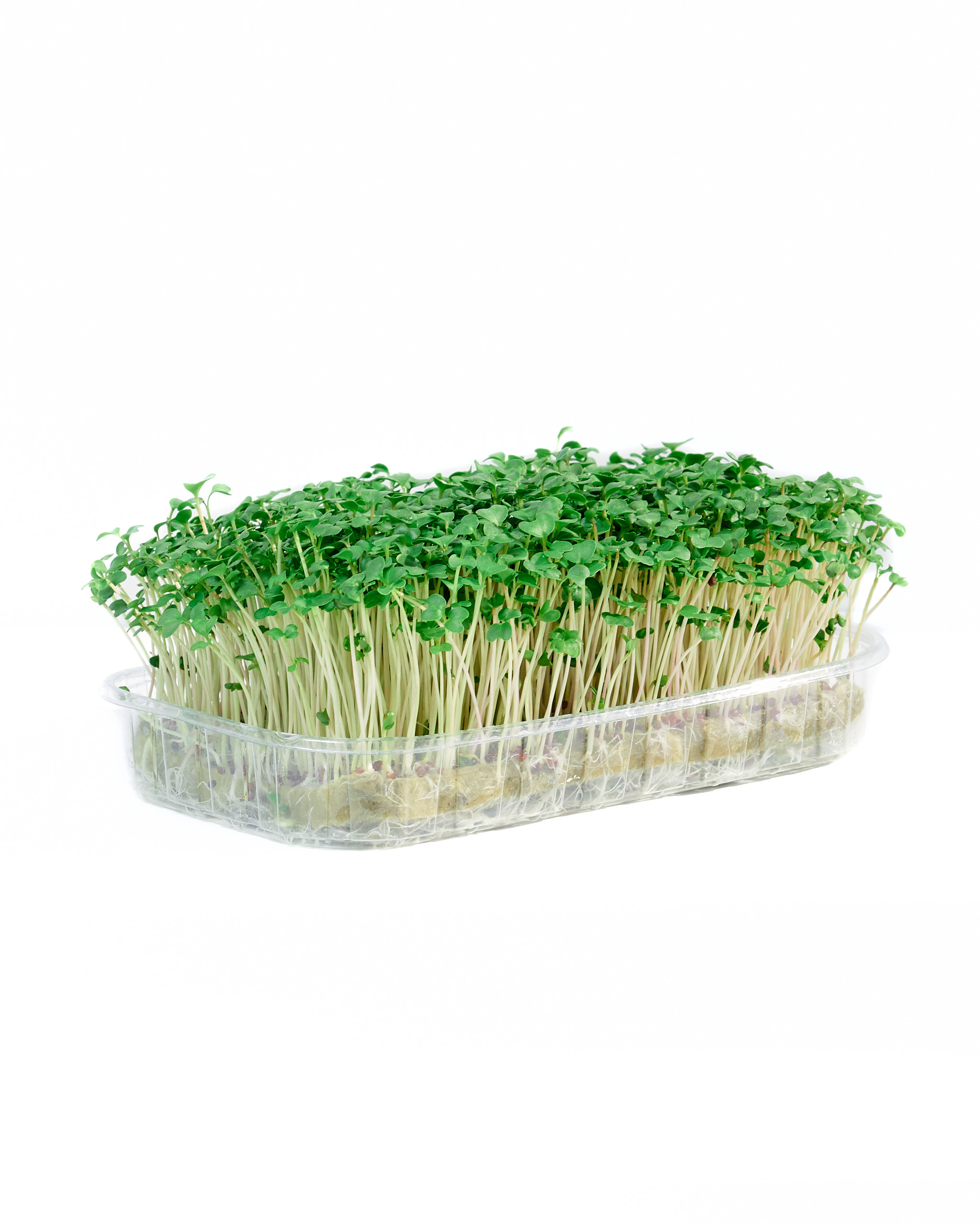 Контент-съёмка для соцсетей и маркетплейсов. Фотограф в Ульяновске Ирина Аверьянова