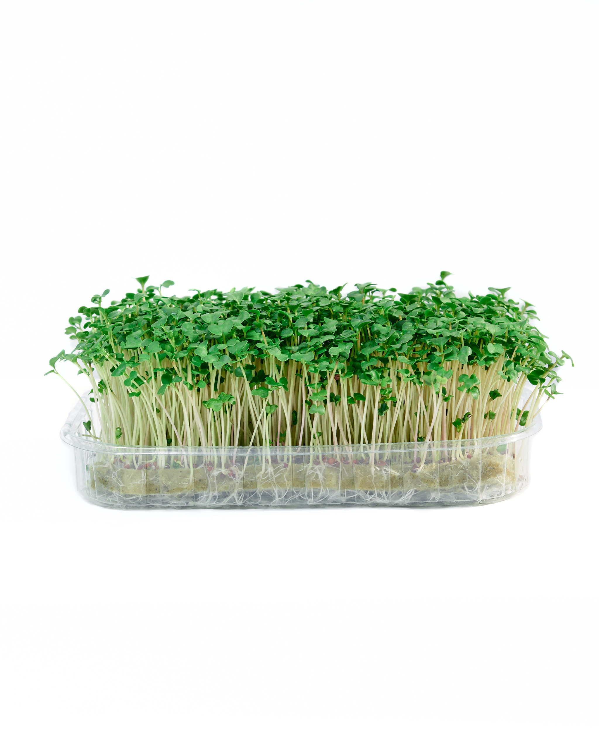 Контент-съёмка для соцсетей и маркетплейсов. Фотограф в Ульяновске Ирина Аверьянова