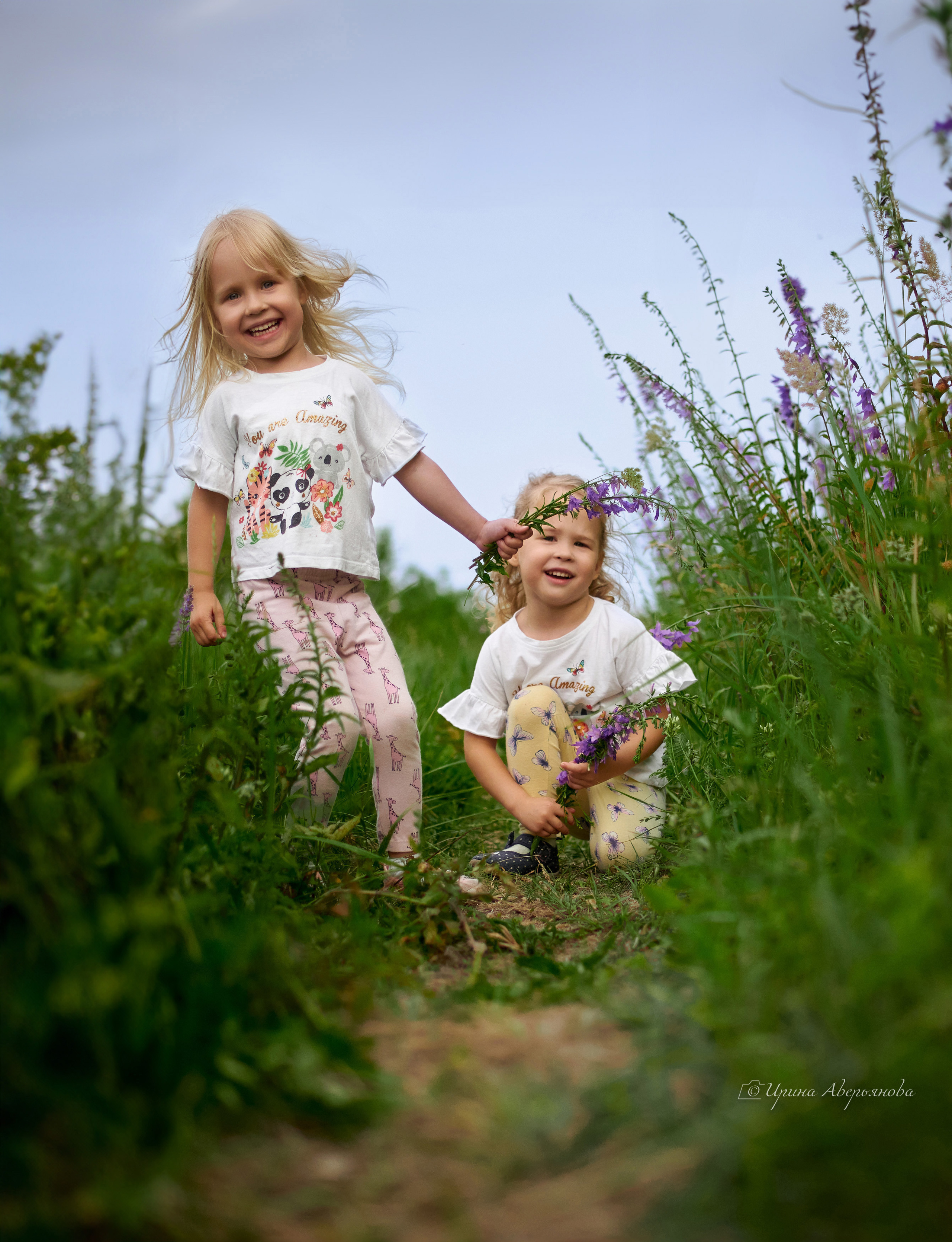 Поле с колокольчиками. Фотограф в Ульяновске Ирина Аверьянова