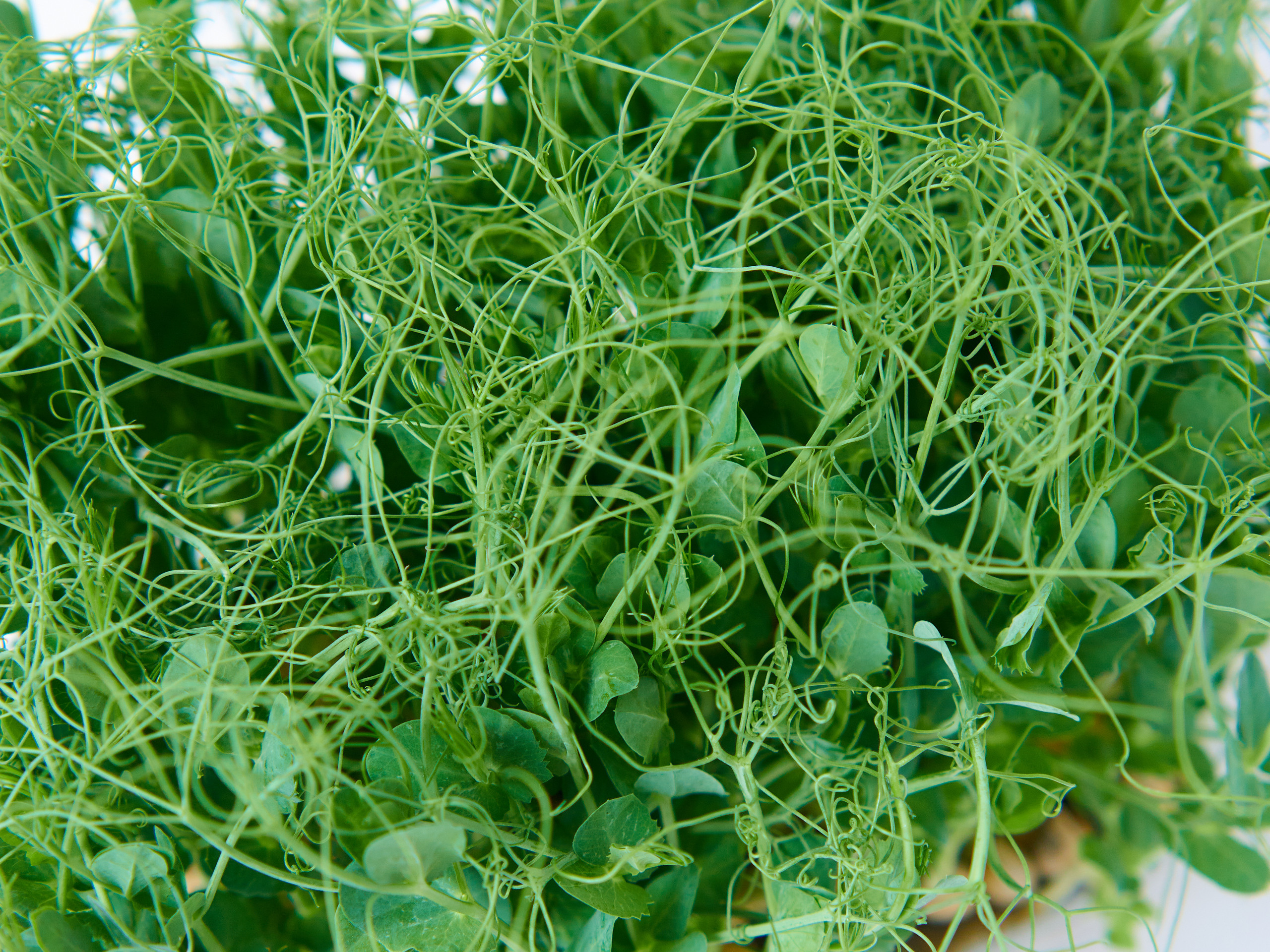 Контент-съёмка для соцсетей и маркетплейсов. Фотограф в Ульяновске Ирина Аверьянова