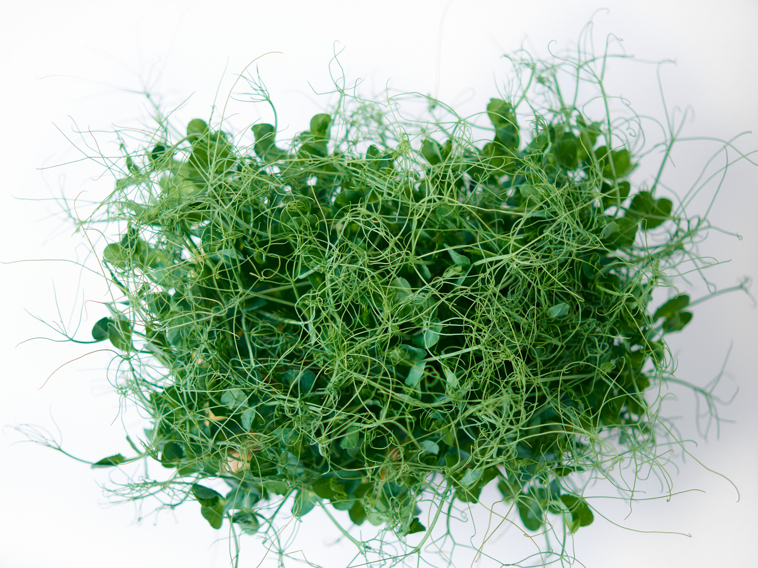 Контент-съёмка для соцсетей и маркетплейсов. Фотограф в Ульяновске Ирина Аверьянова