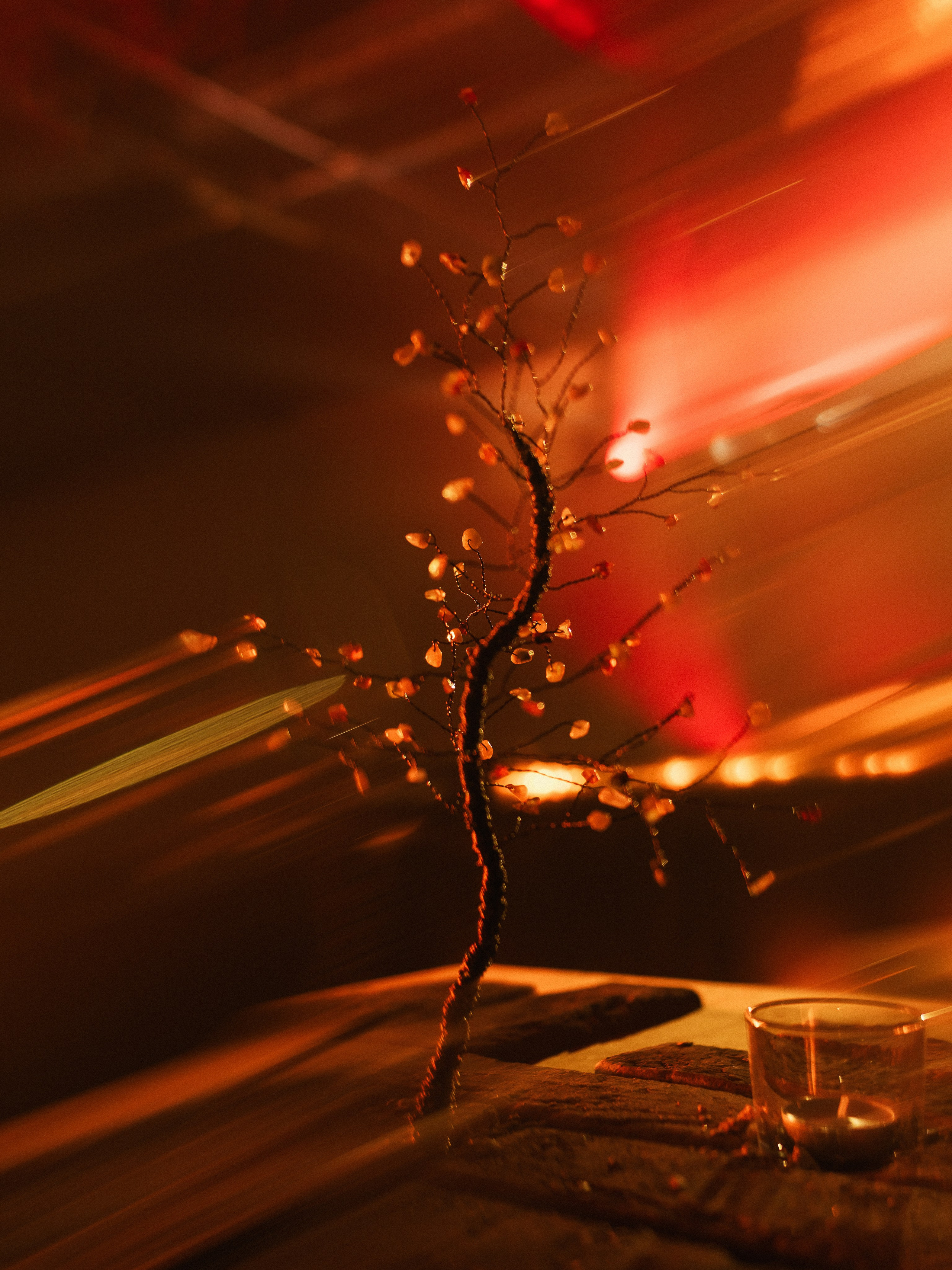 Wedding Awards NW 2025. NesterovaMaria.ru