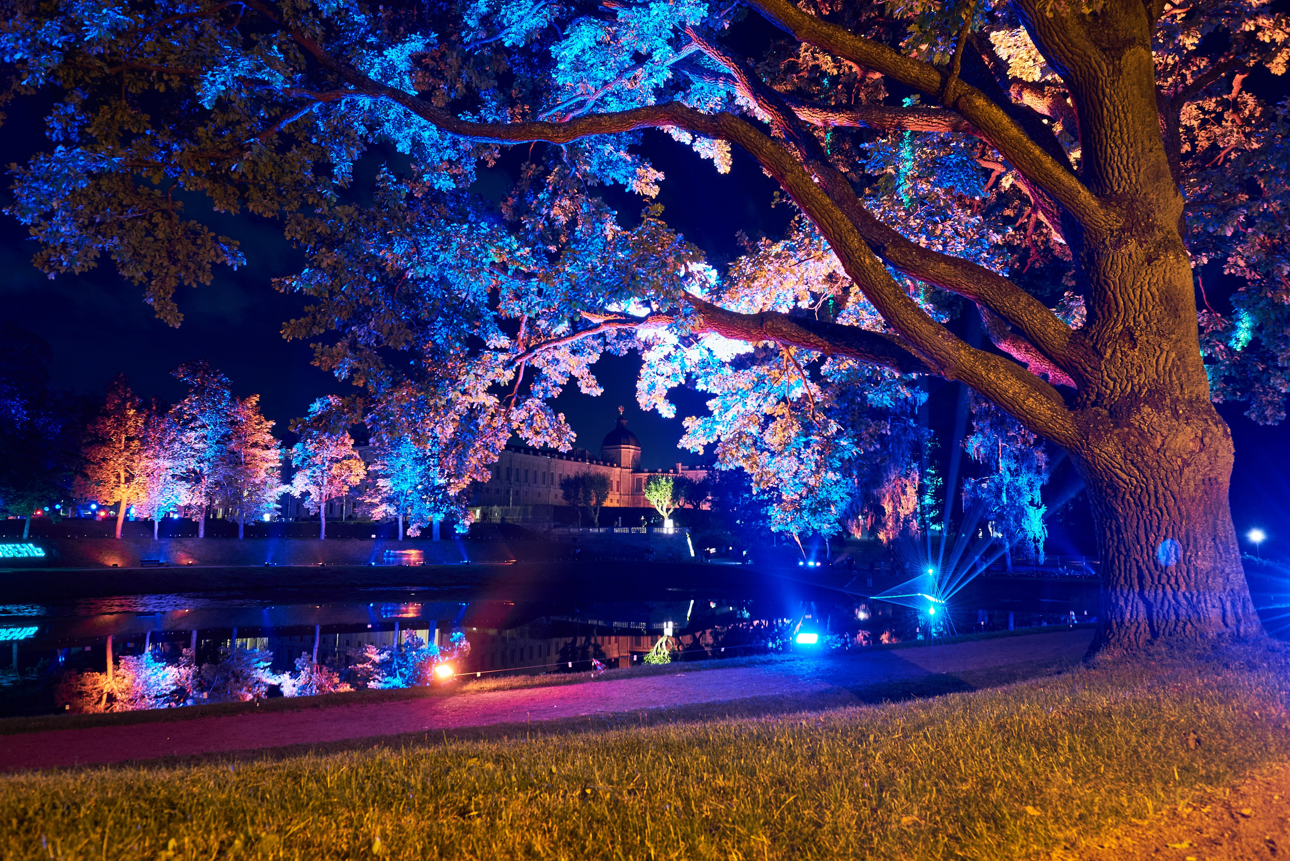 Ночь Света 2025