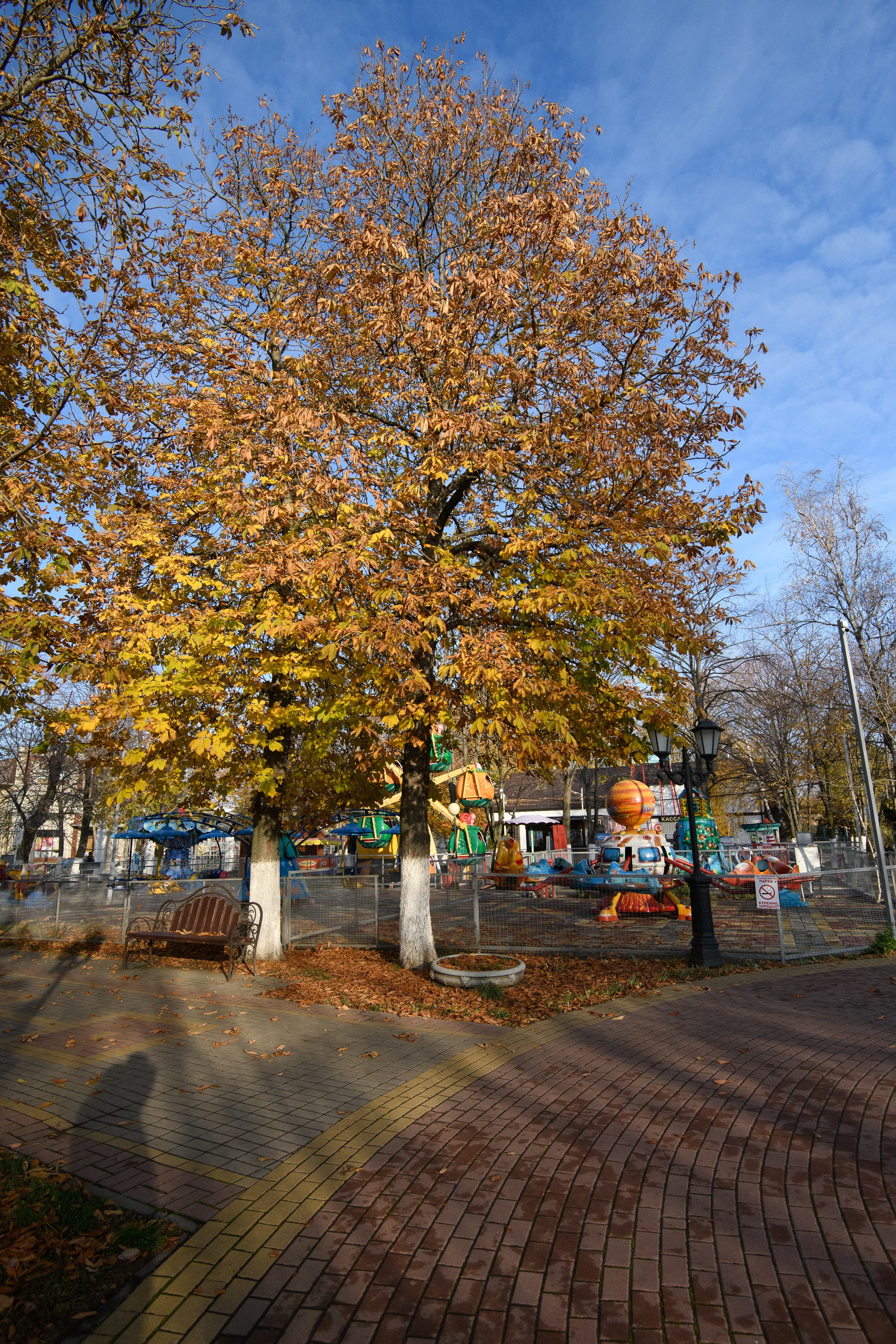Кропоткин. Профессиональная фотосъемка. Ростов-на-Дону