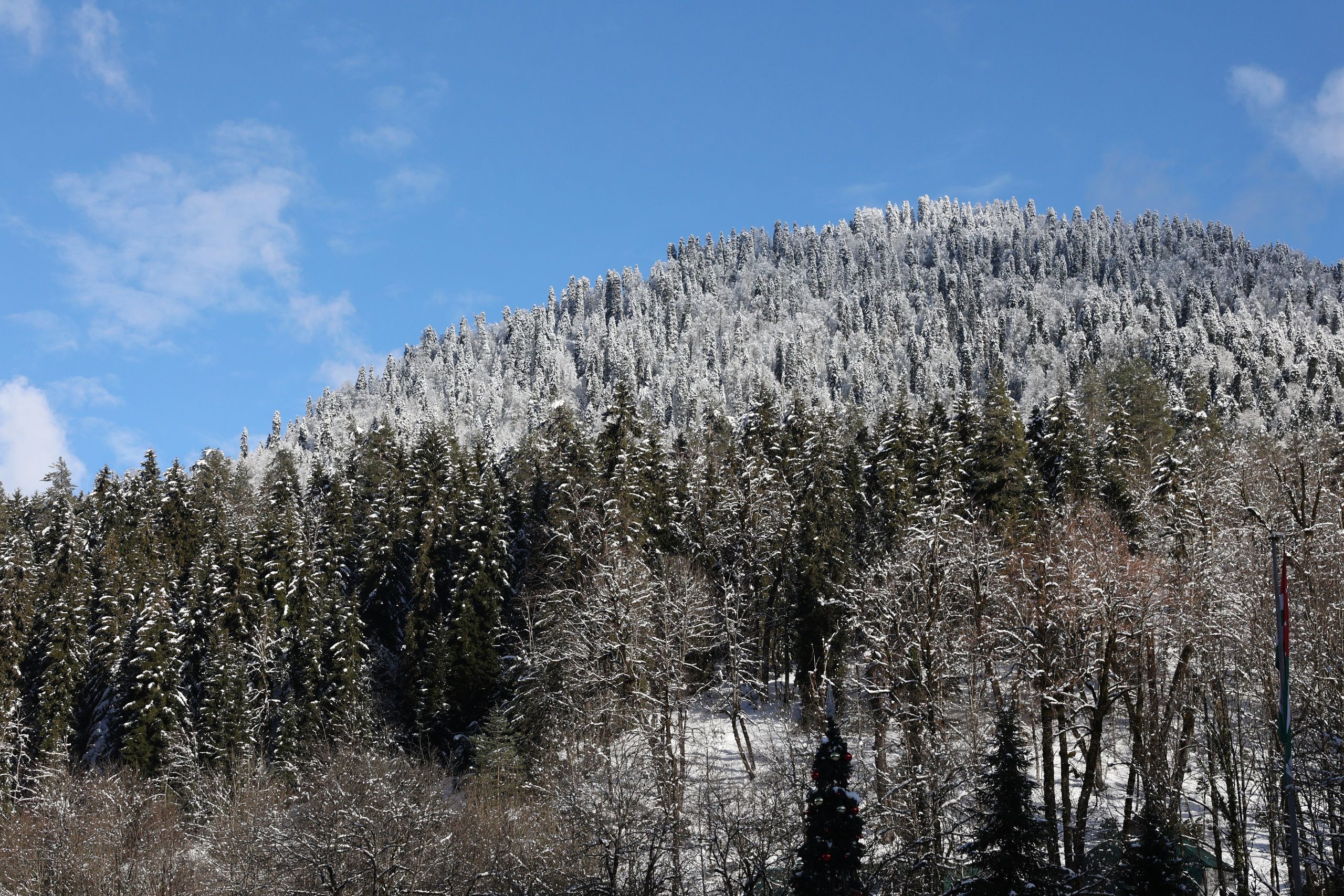 Оз.Рица Прогулка. Главная