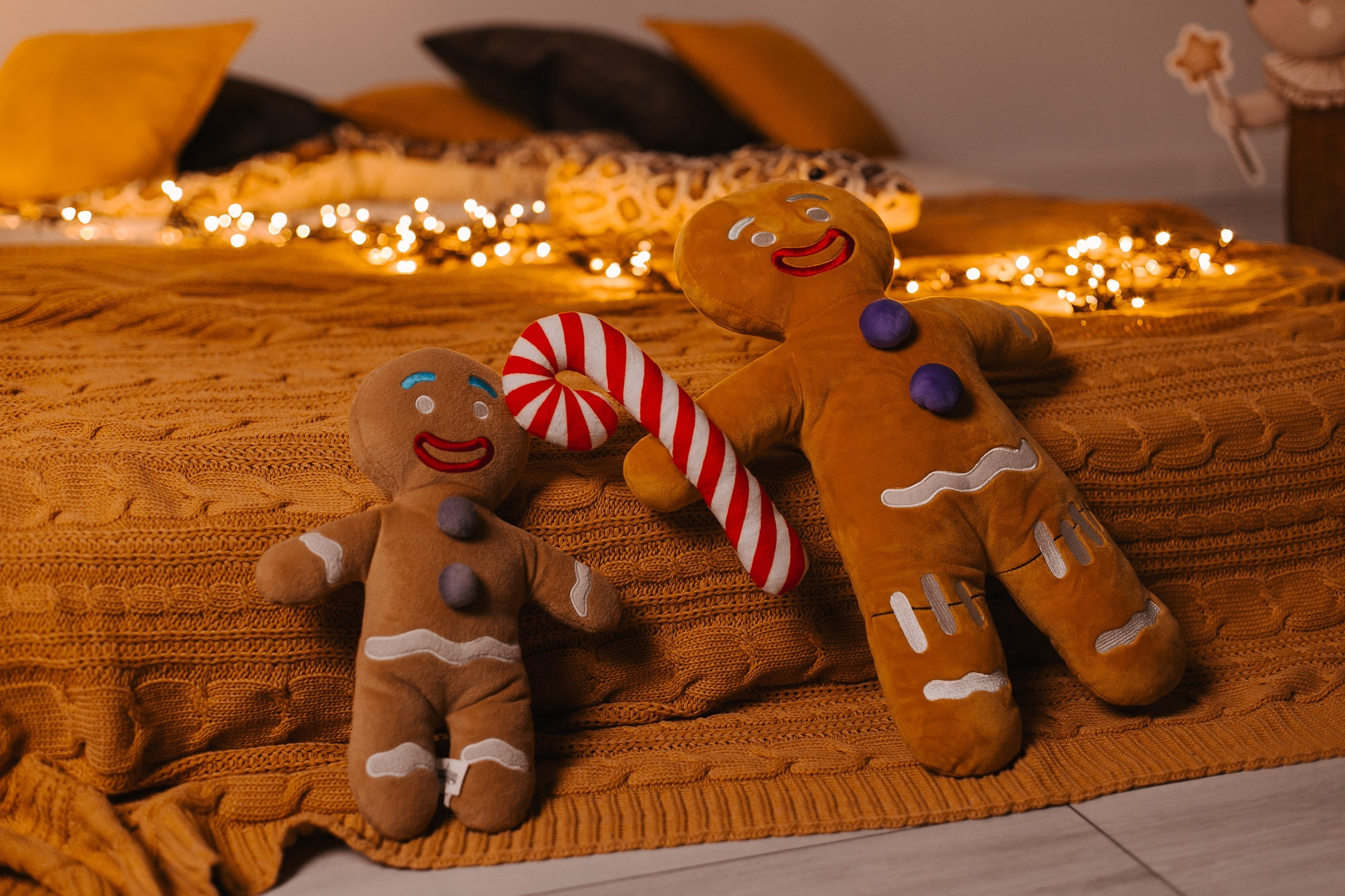 Студия Летт Лофт. Фотограф г. Хабаровск. Семейные и индивидуальные съёмки