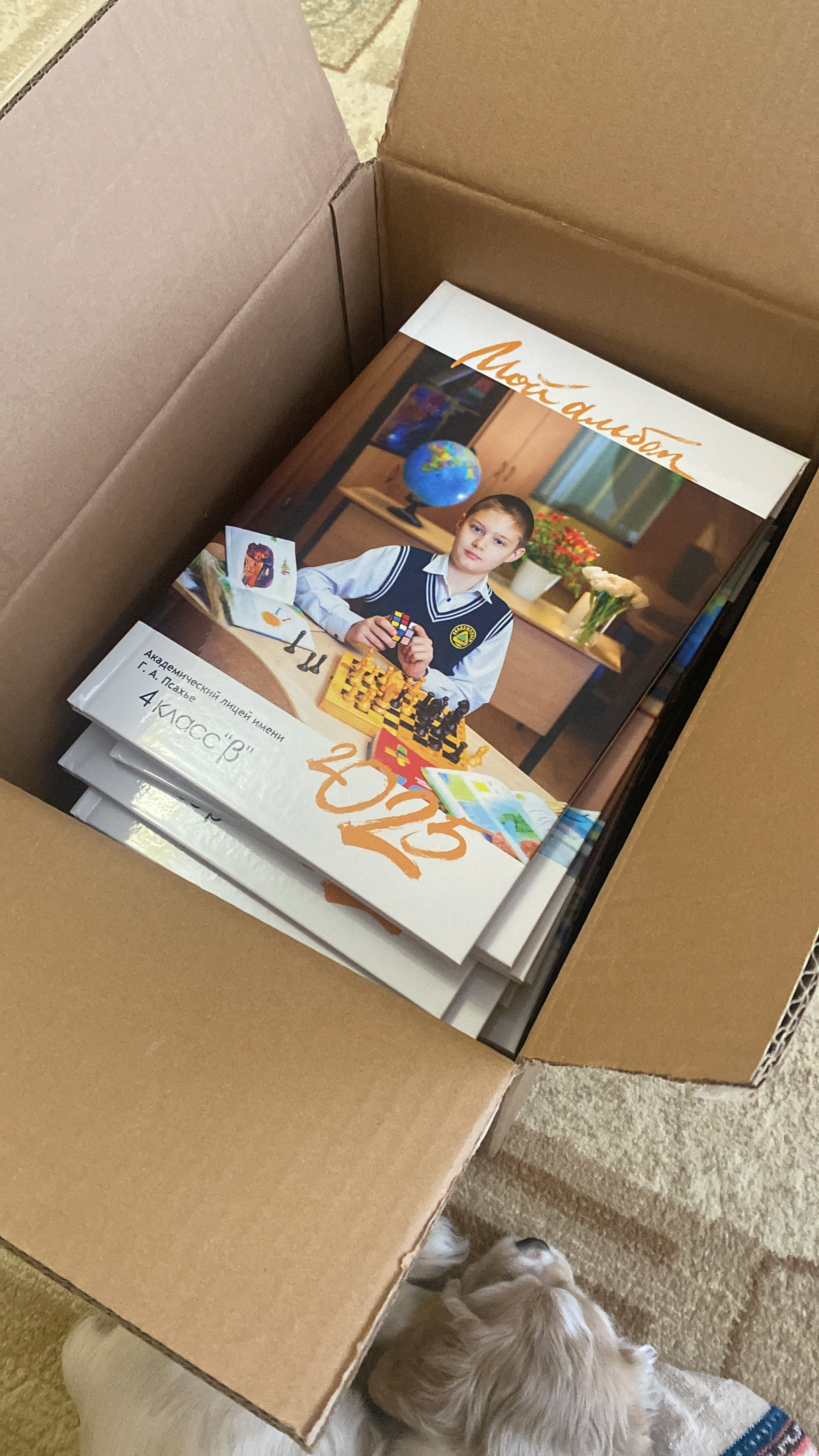 Примеры готовых альбомов. Выпускные альбомы в Томске. Леднева Олеся