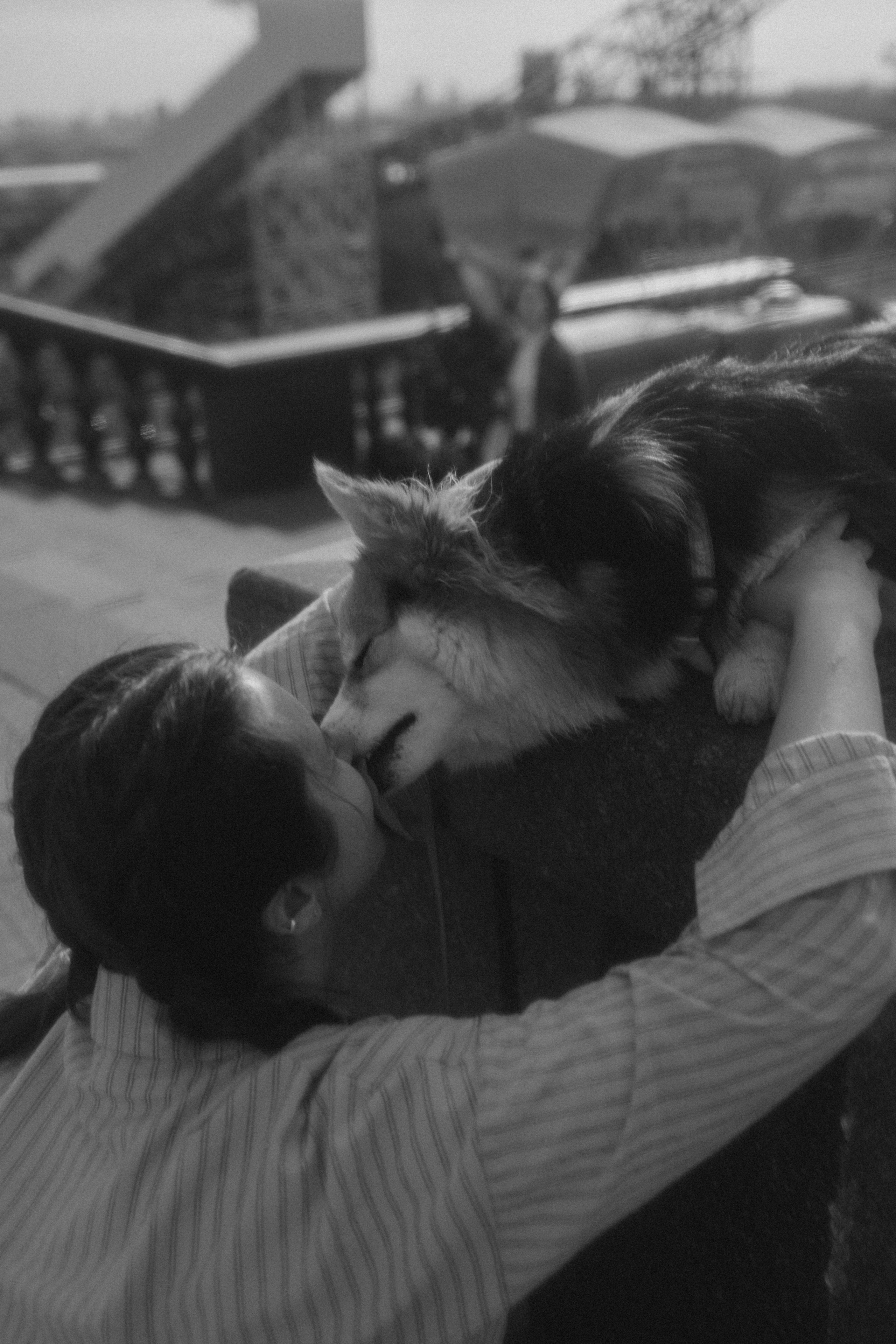 Мишель и Влада. Фотораф — анималист Мария Шистка