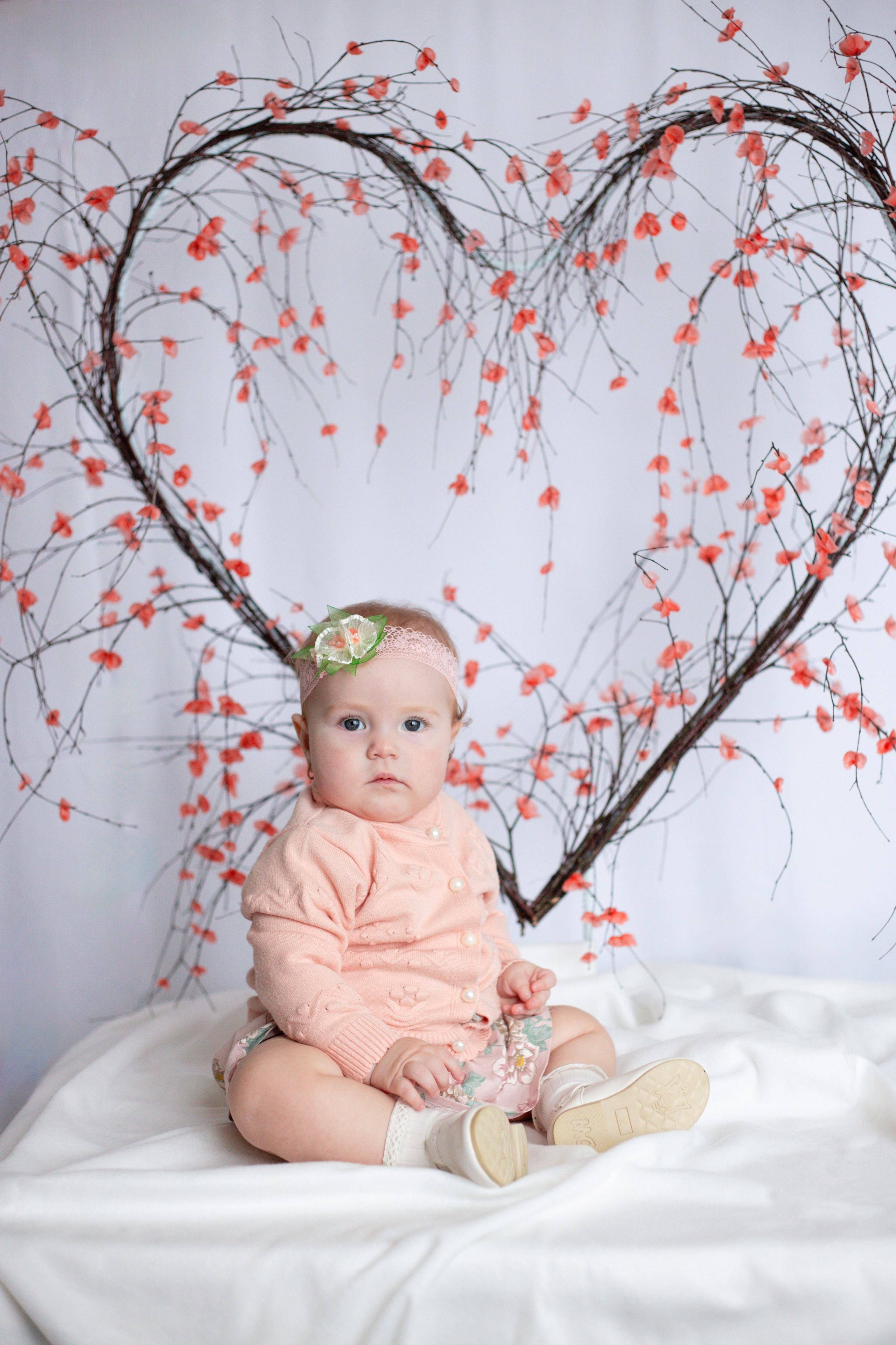 Сердце (14 февраля)